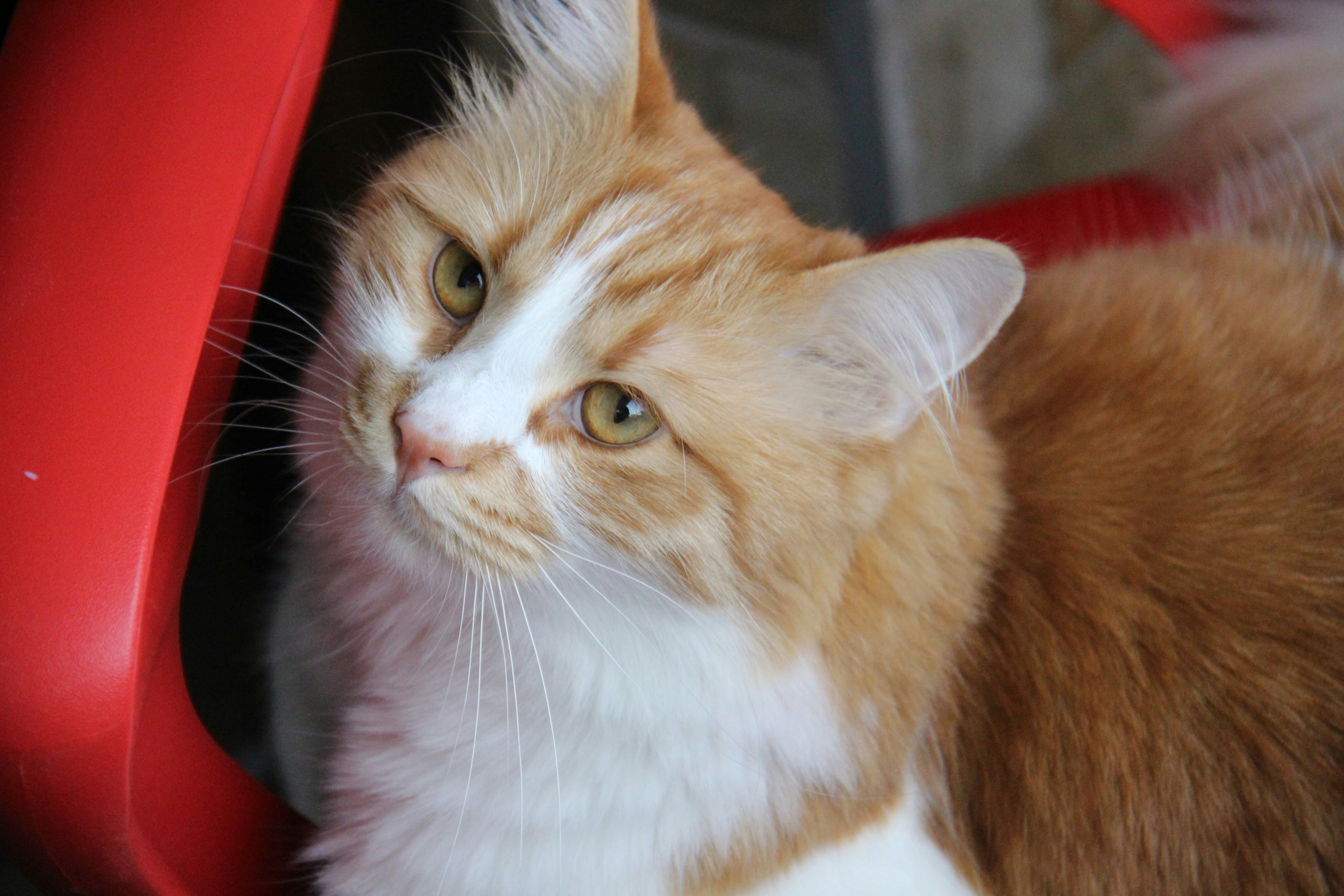 Photo by defneheybeli