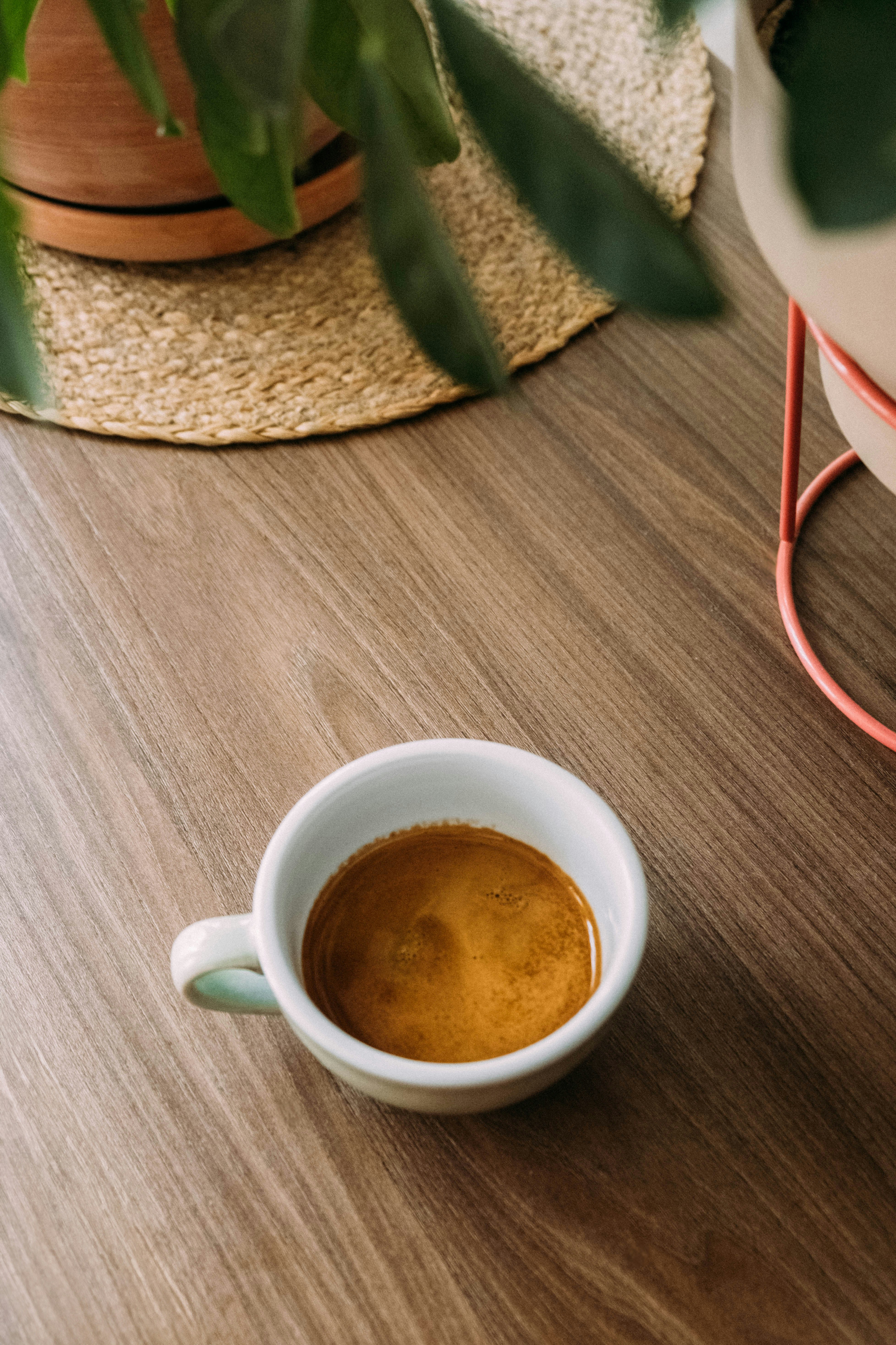 Photo by leonardoalvear