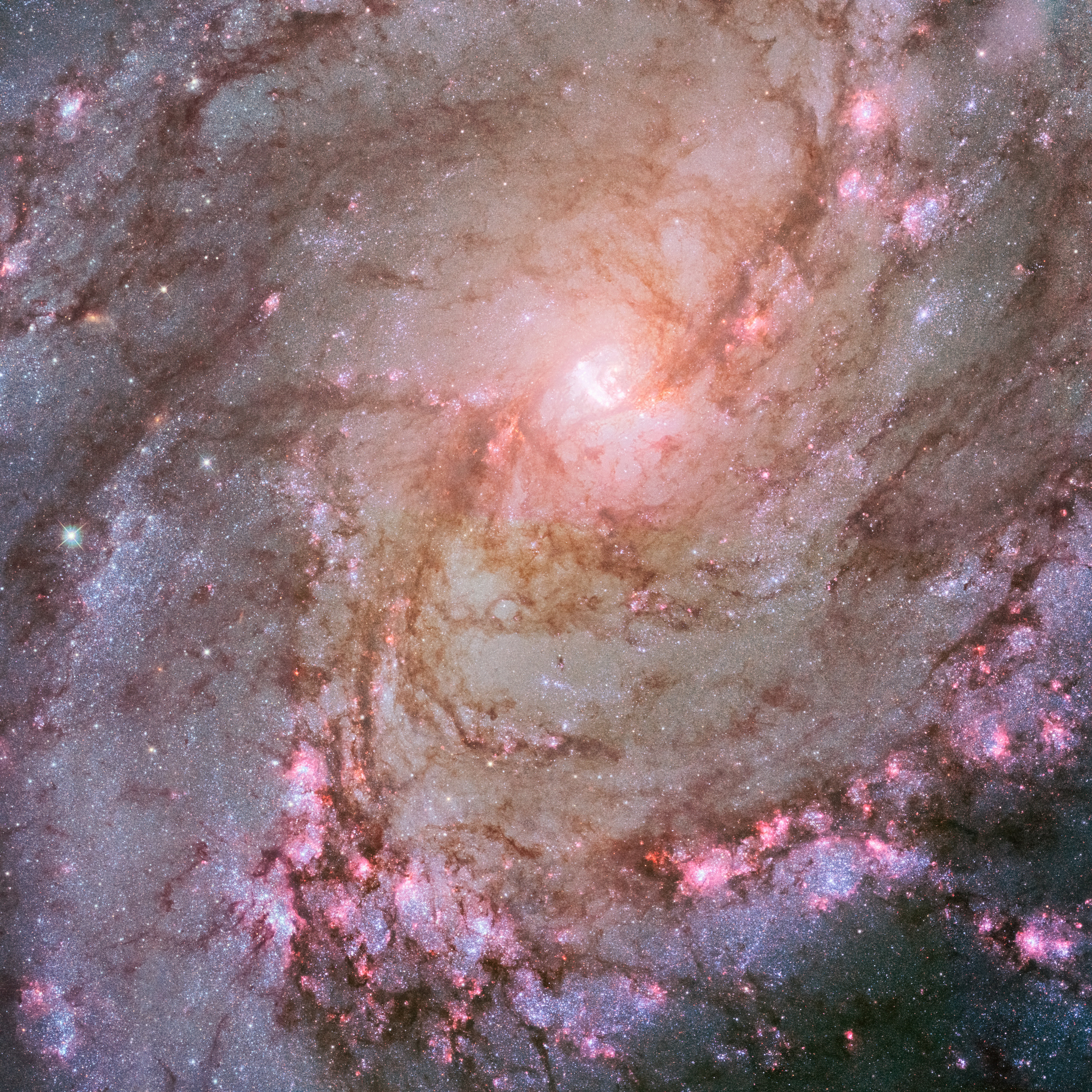 M83 (HST) Credits: Credit: NASA, ESA, and Z. Levay (STScI/AURA) Acknowledgment: NASA, ESA, and R. Khan (GSFC and ORAU)