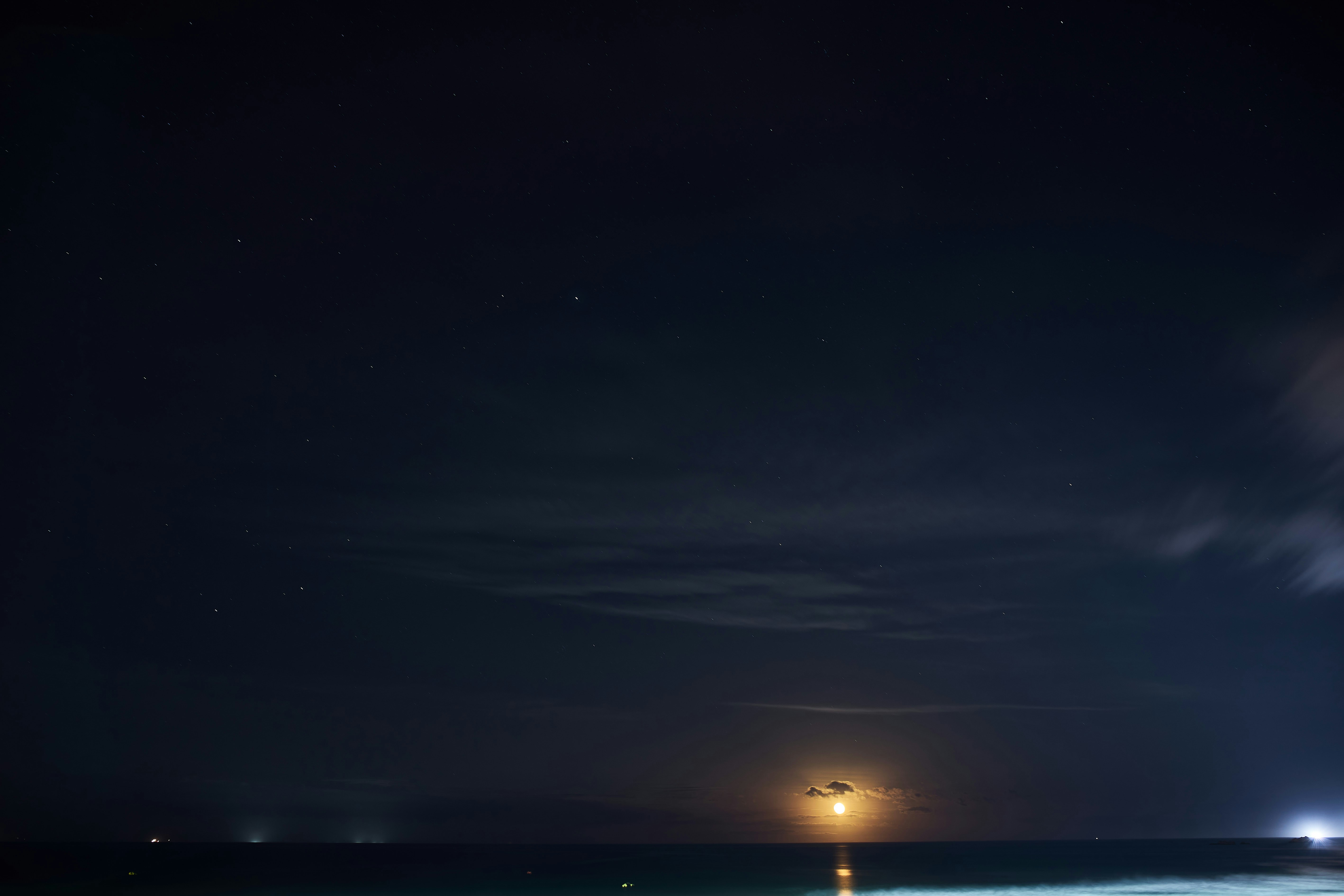 Photo by wolfgang_hasselmann