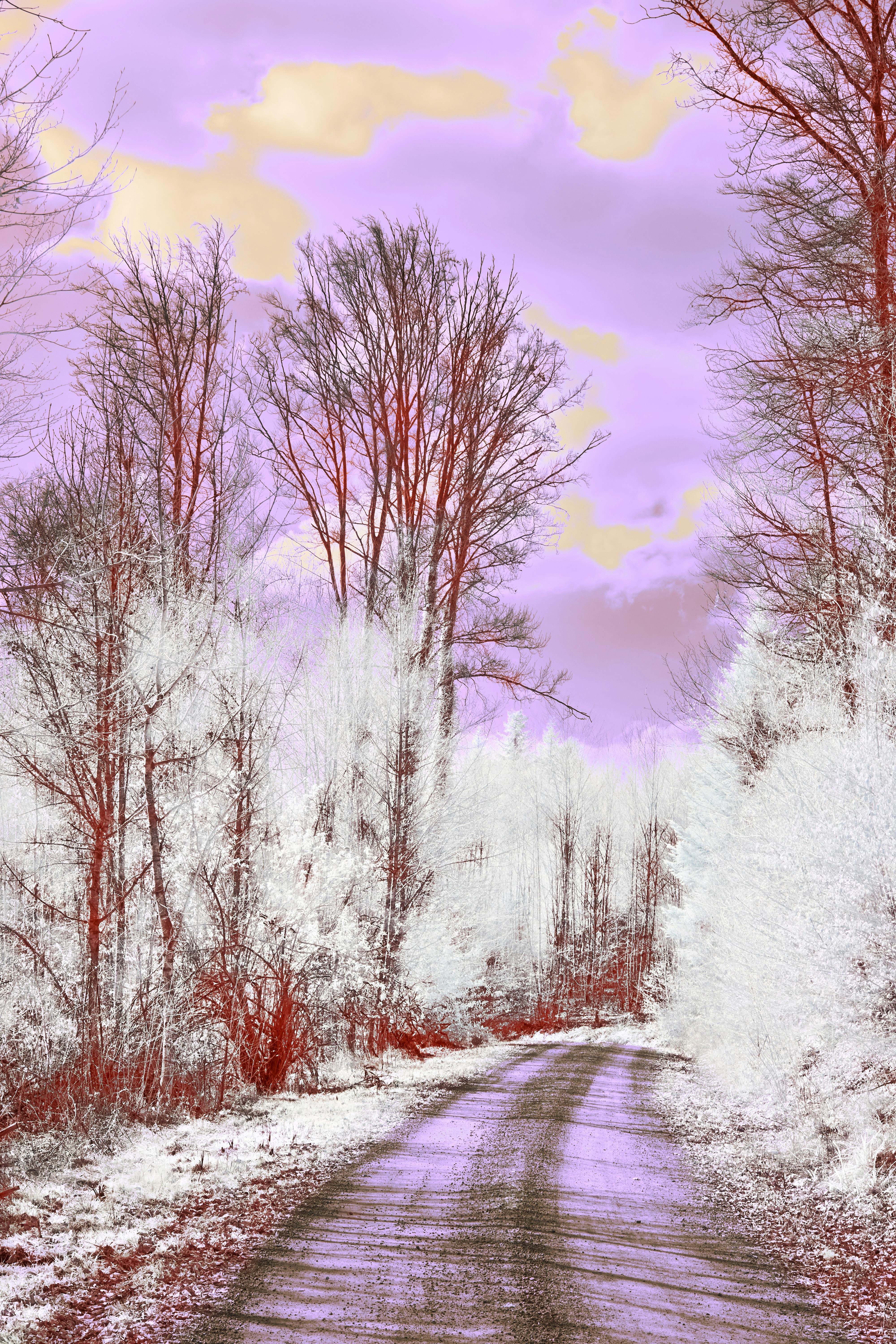 Photo by wolfgang_hasselmann