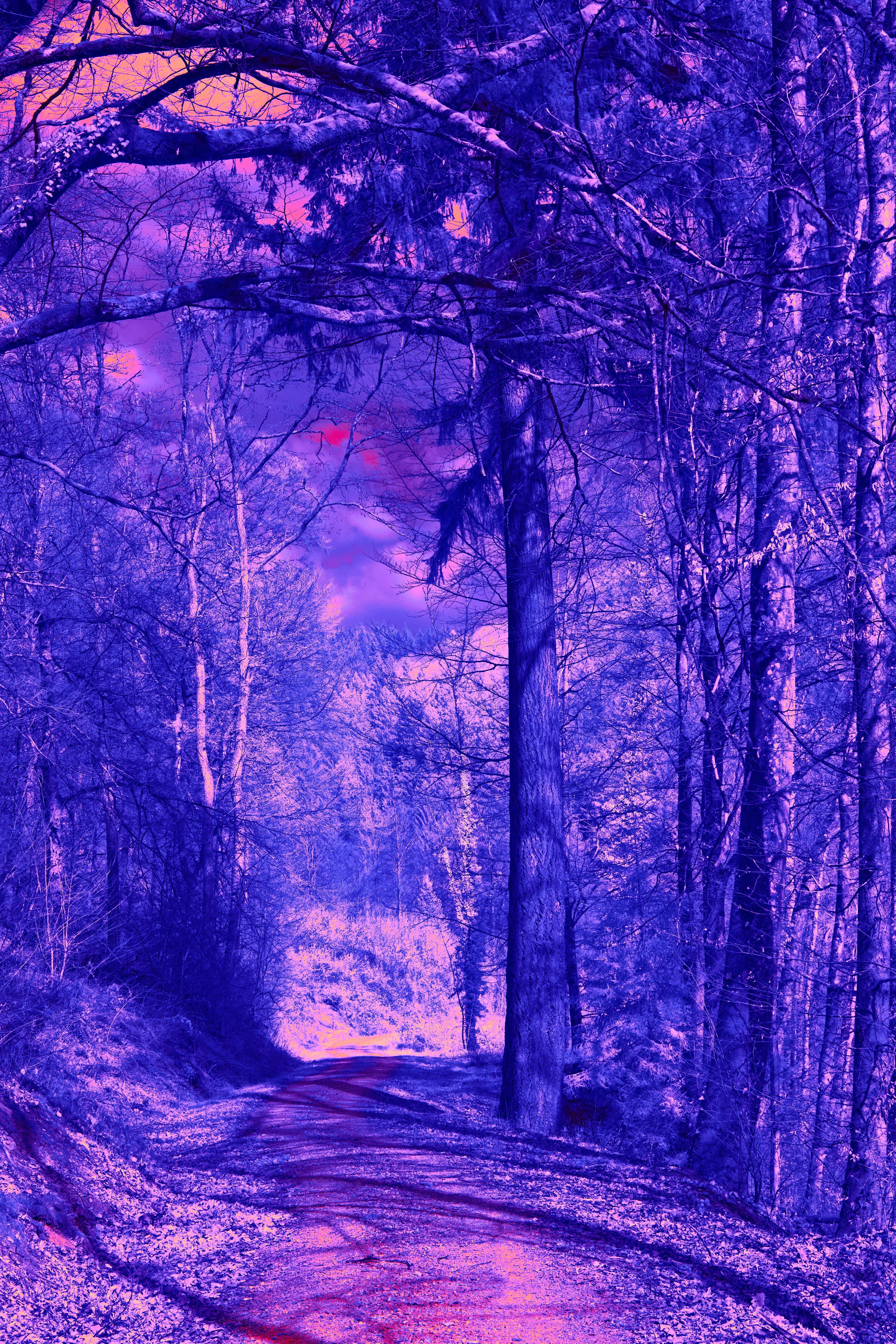 Photo by wolfgang_hasselmann