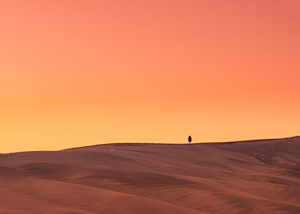 Eine einsame Person, die mitten in der Wüste steht