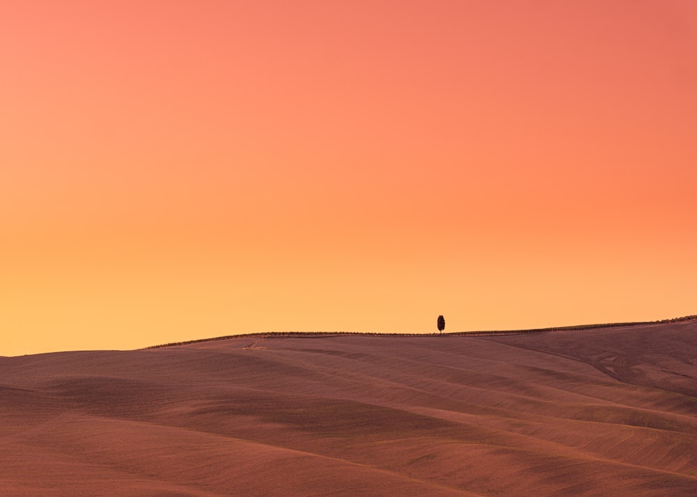 a lone person standing in the middle of a desert