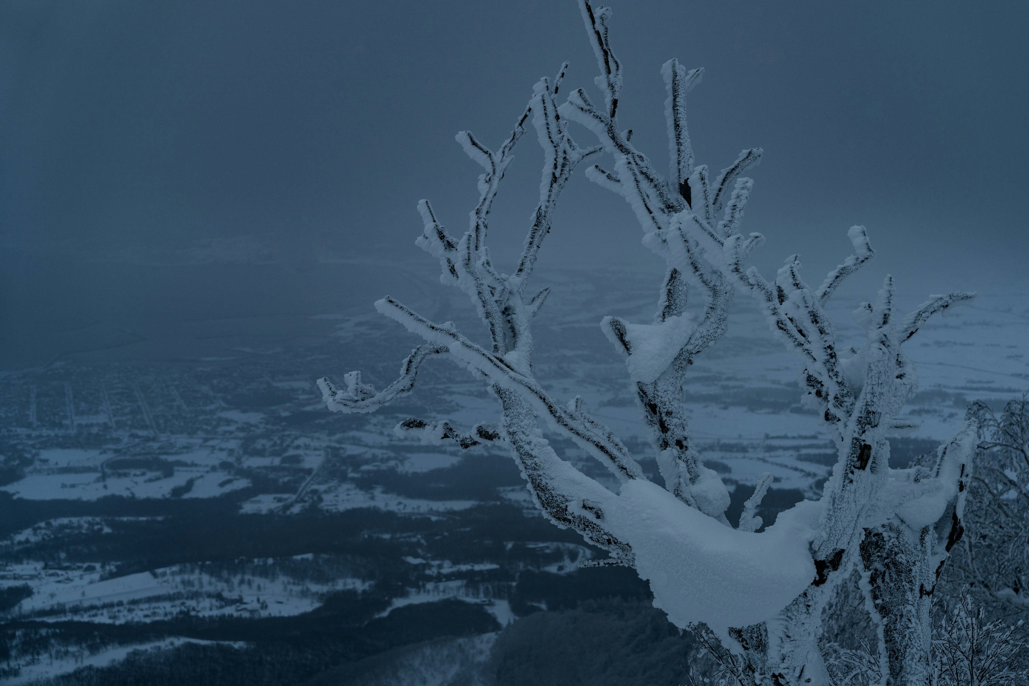 Photo by jeremybishop