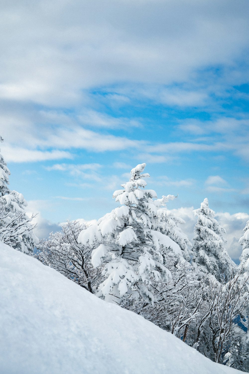 a person riding skis down a snow covered slope