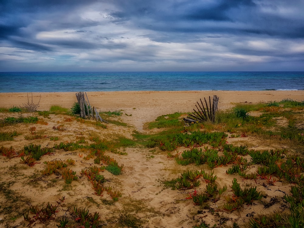 a sandy beach with a wooden fence and ocean in the background