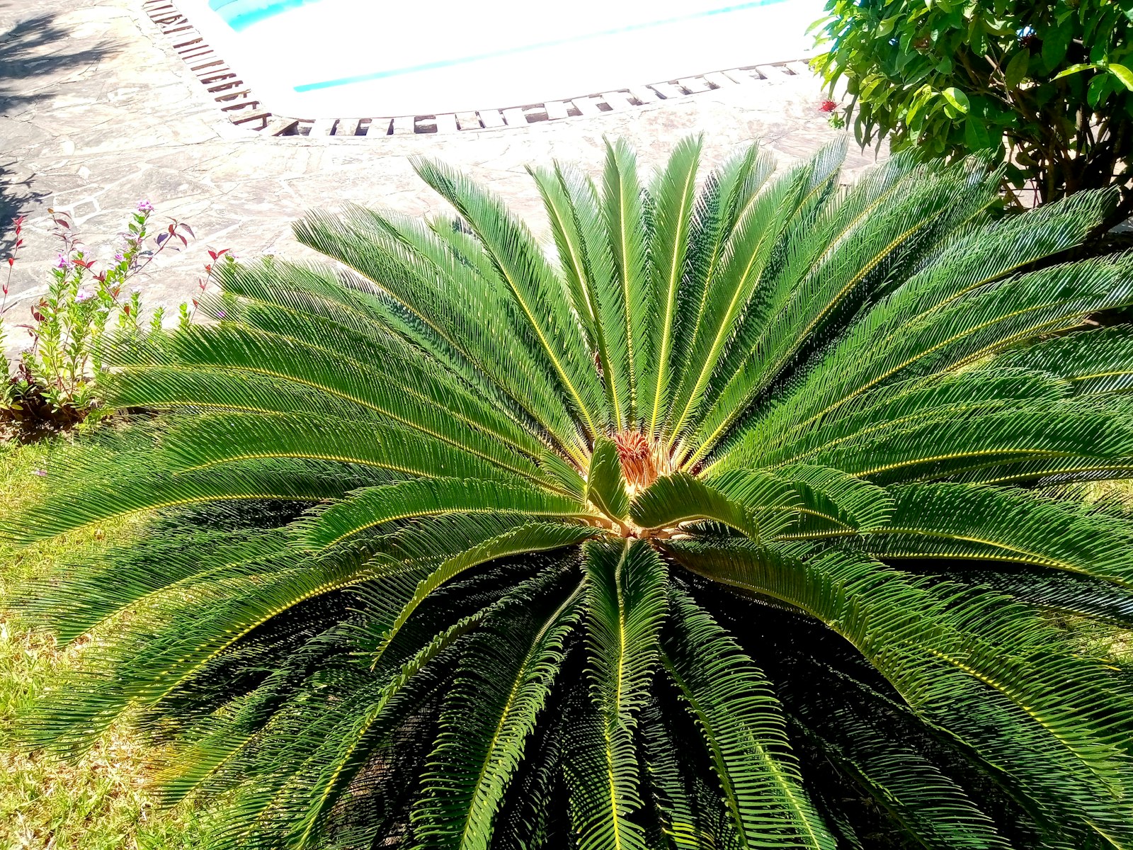 Kenya Beaches & Nature