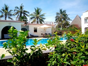 a hotel with a swimming pool surrounded by greenery