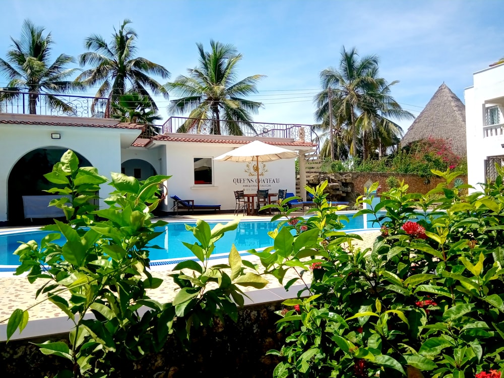 a hotel with a swimming pool surrounded by greenery