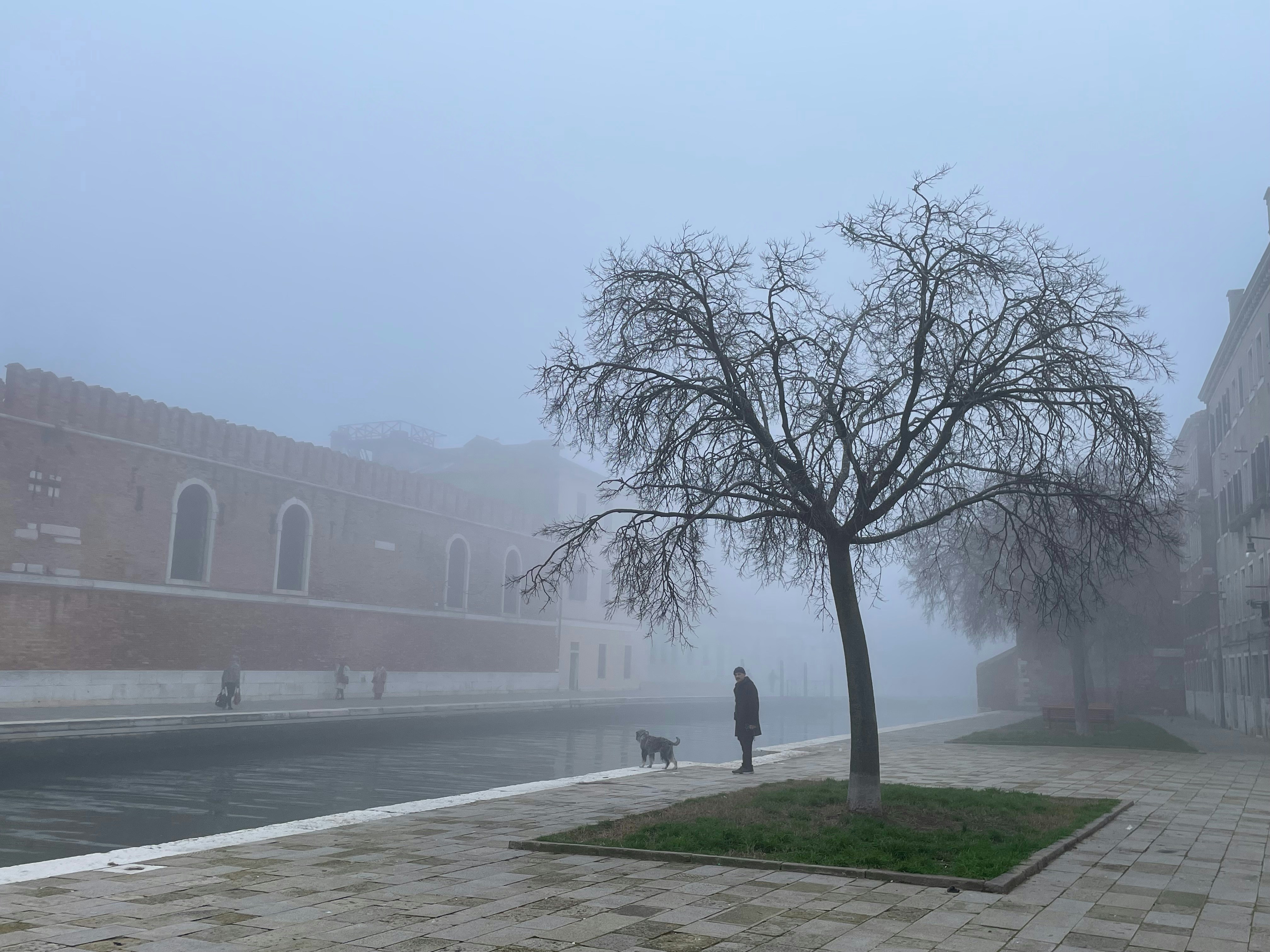Misty foggy landscape
