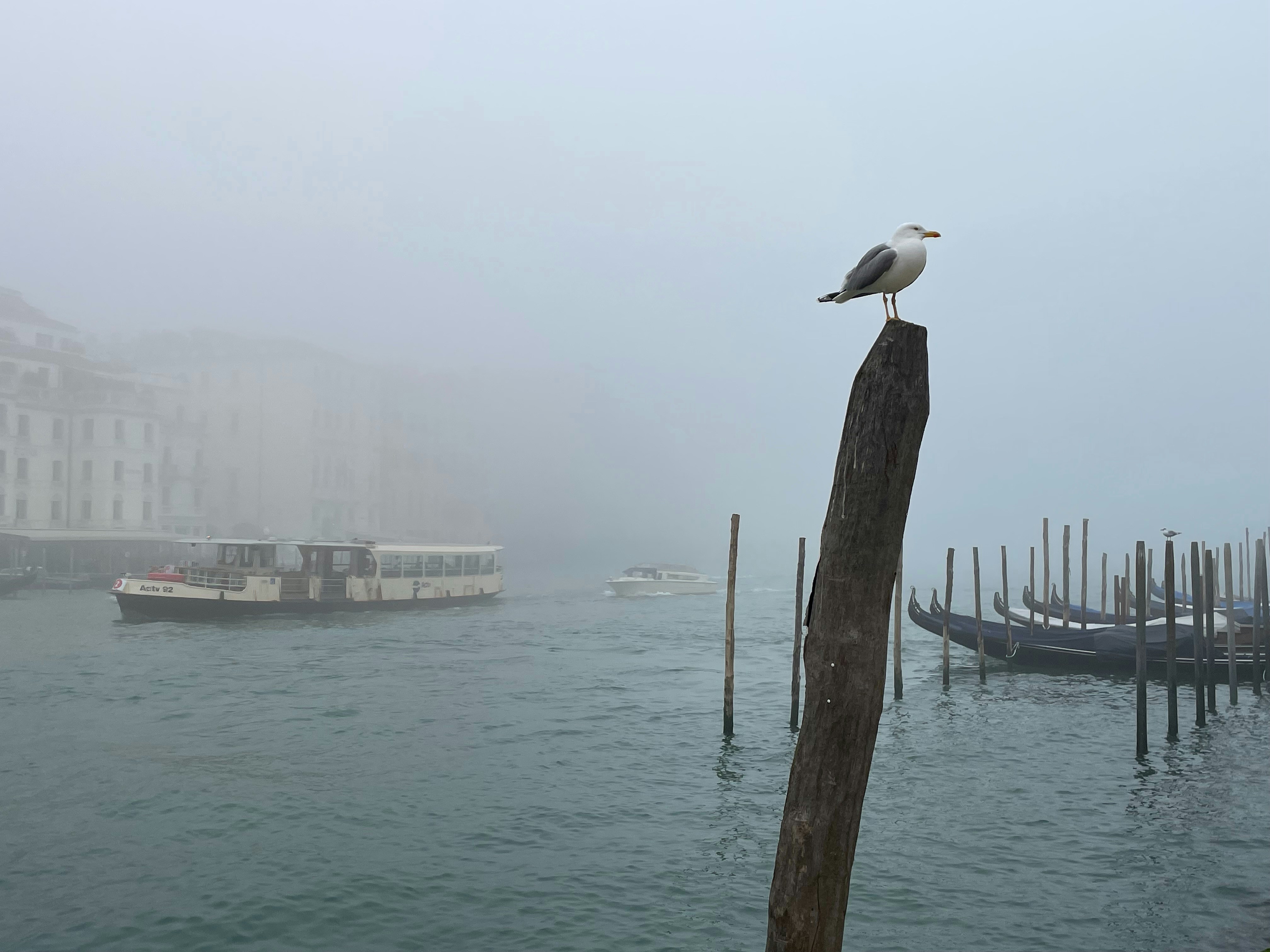 Venice in the fog