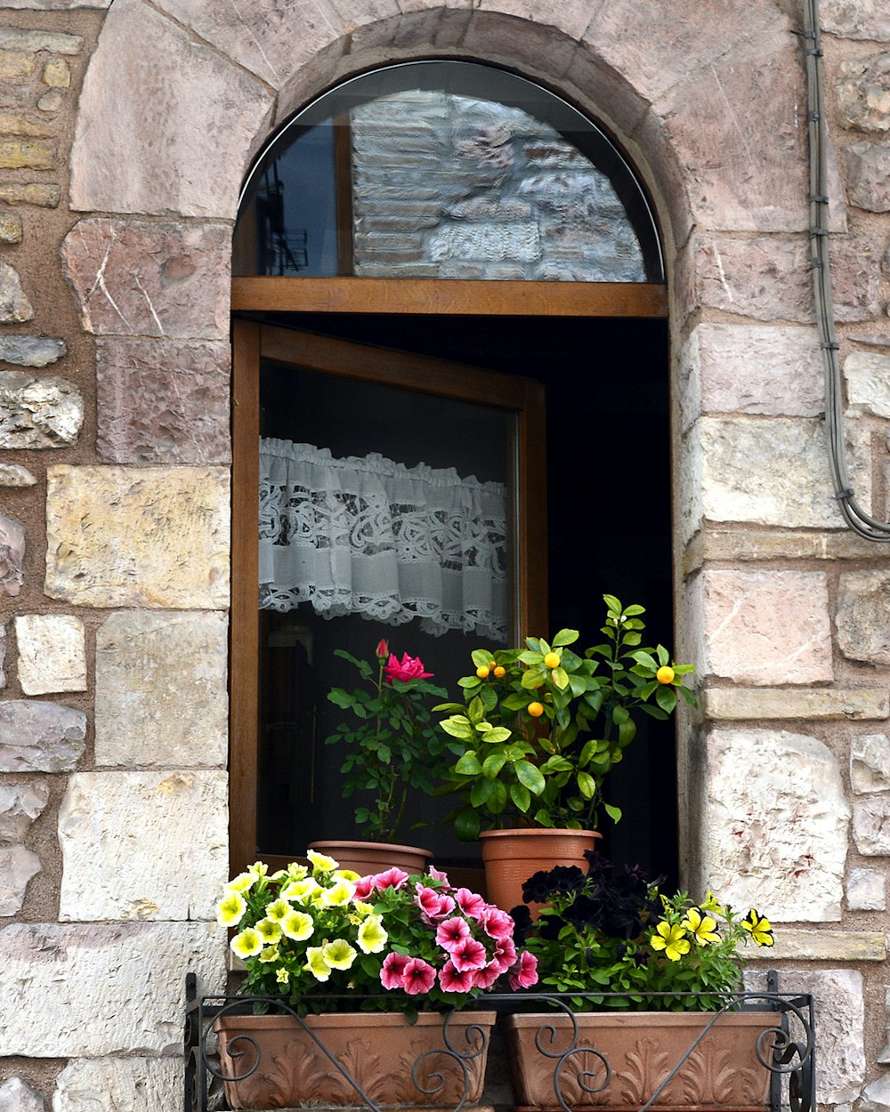 a window sill with a potted plant in it