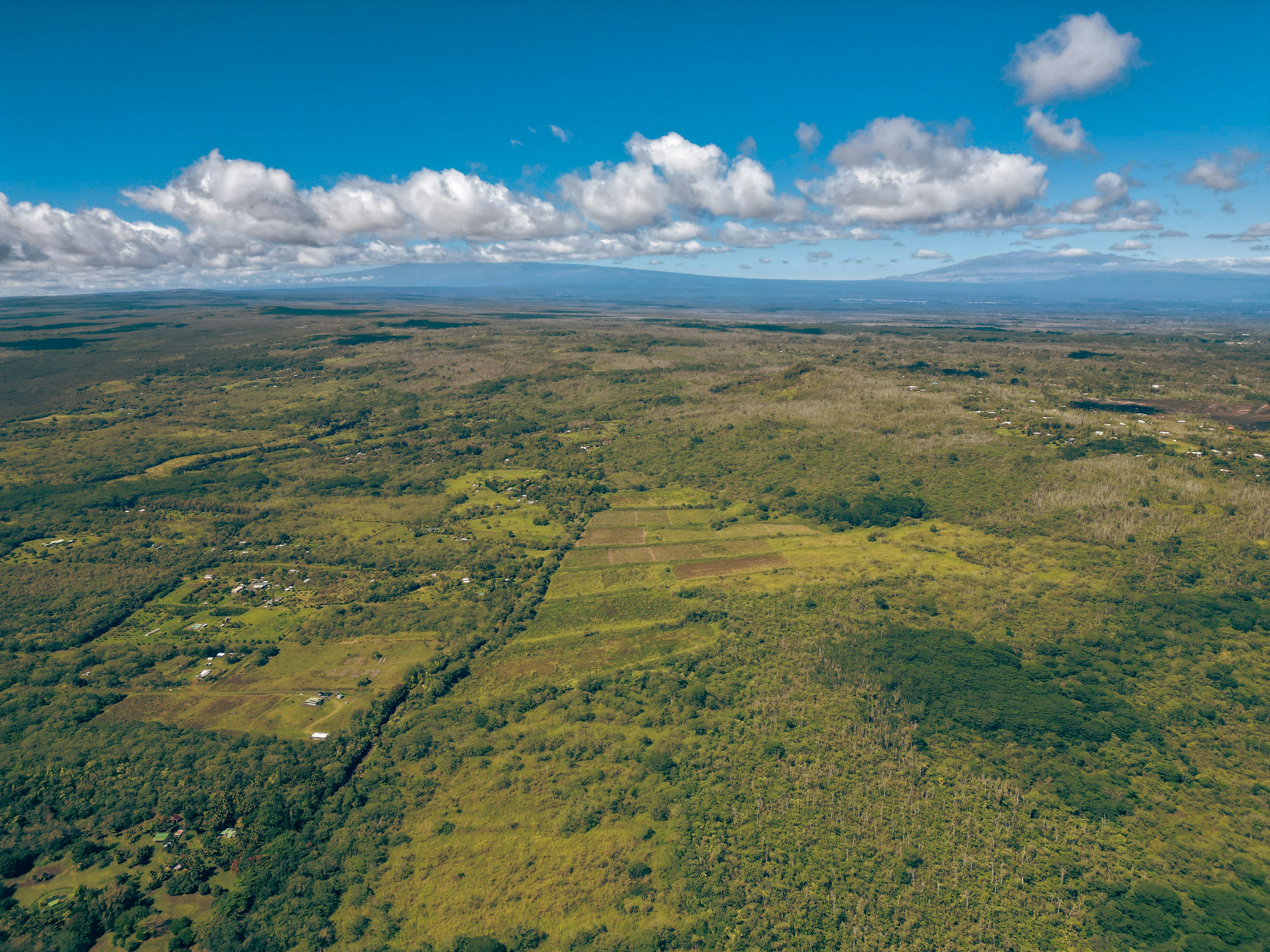 Photo by alamediahawaii