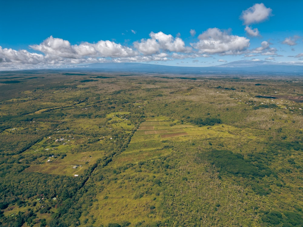 an aerial view of a lush green forest