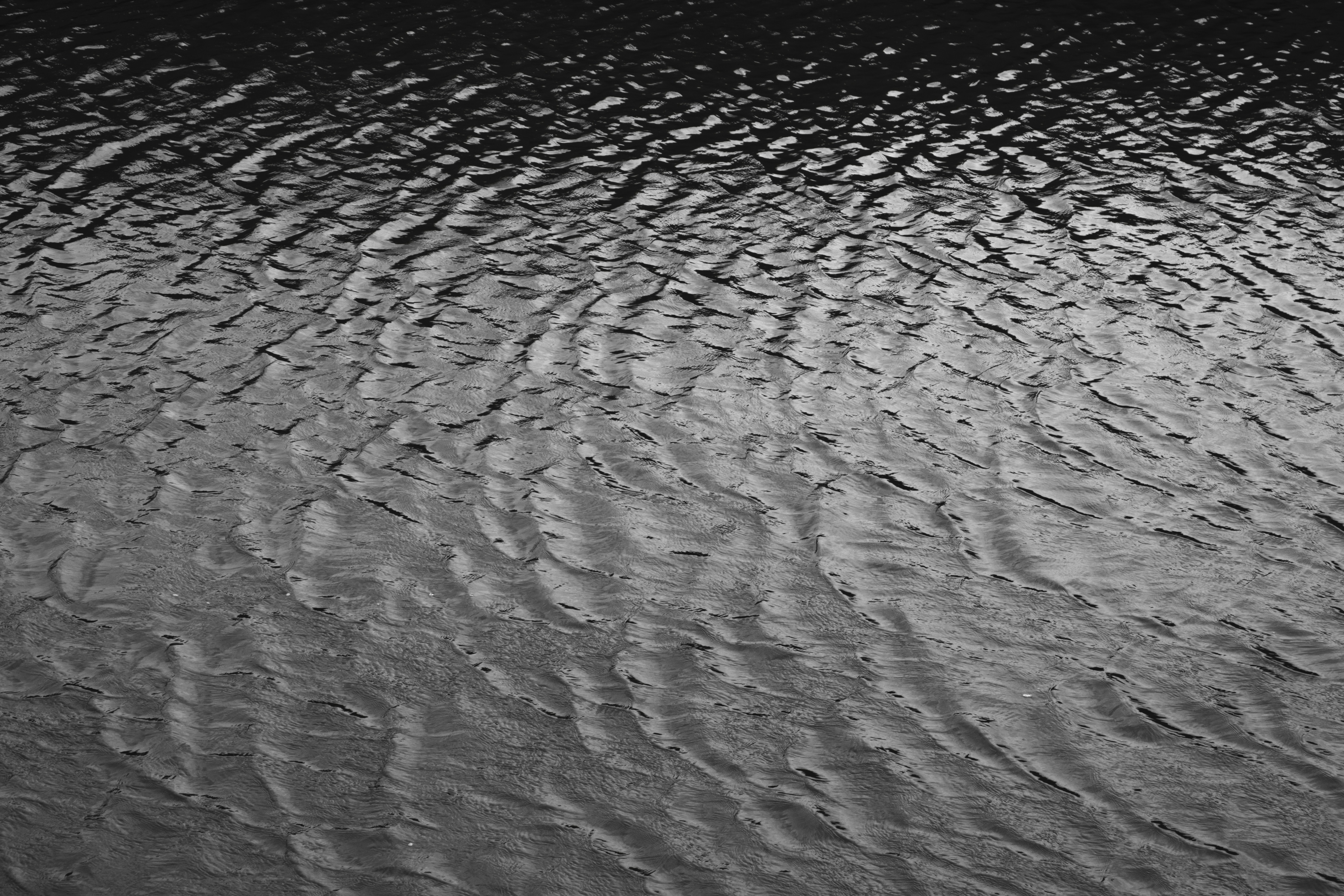 Photo by kouroshmohsenin