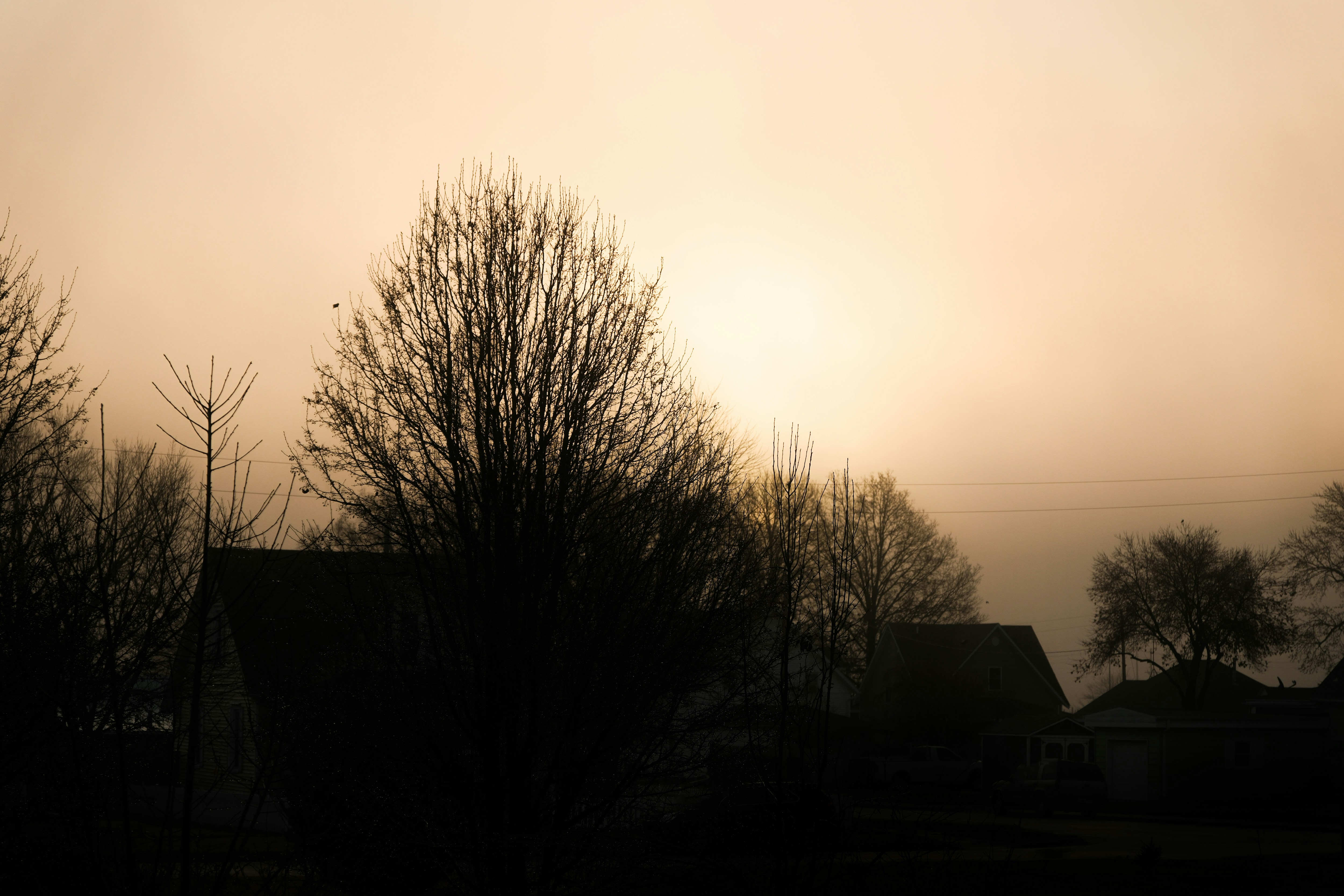 Photo by consoledotlog