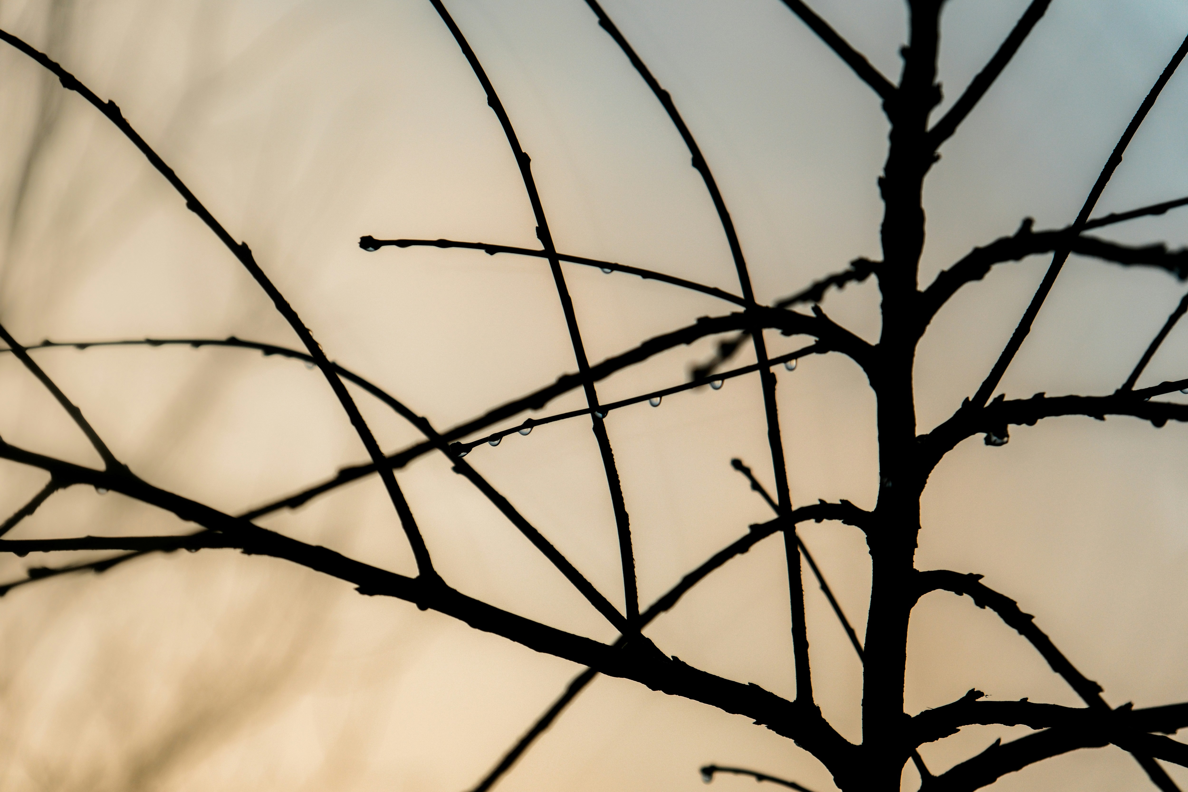 Photo by consoledotlog