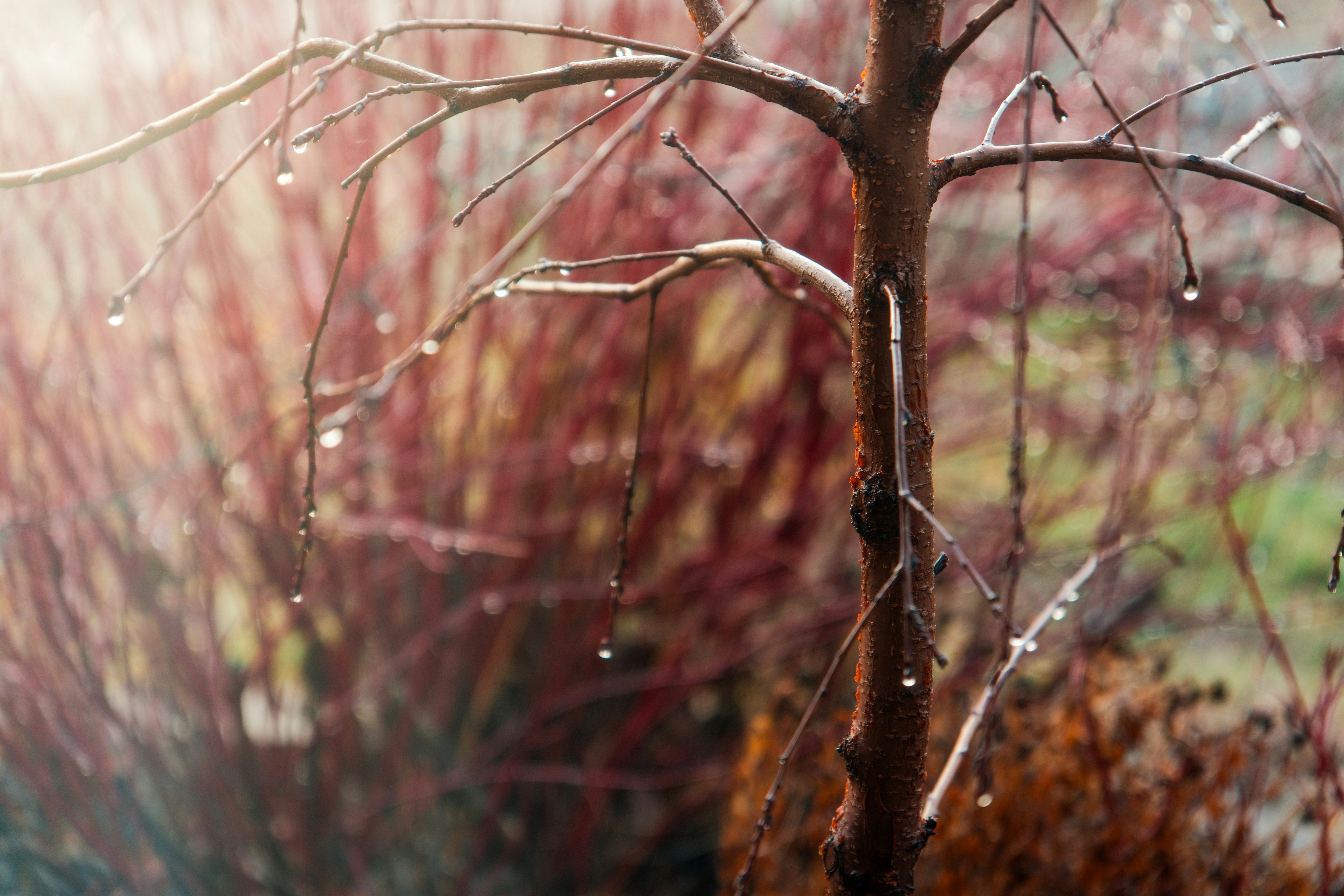 Photo by consoledotlog