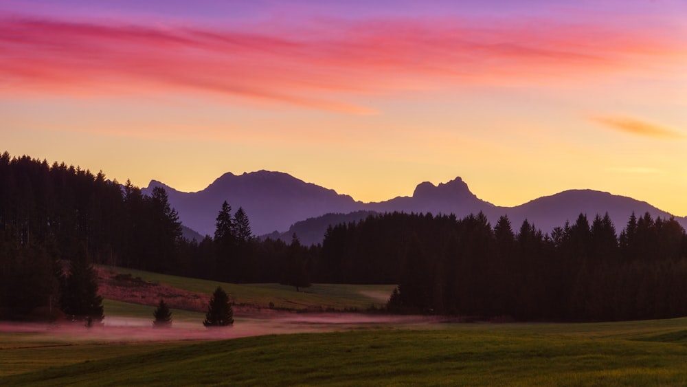 a field with trees and mountains in the background