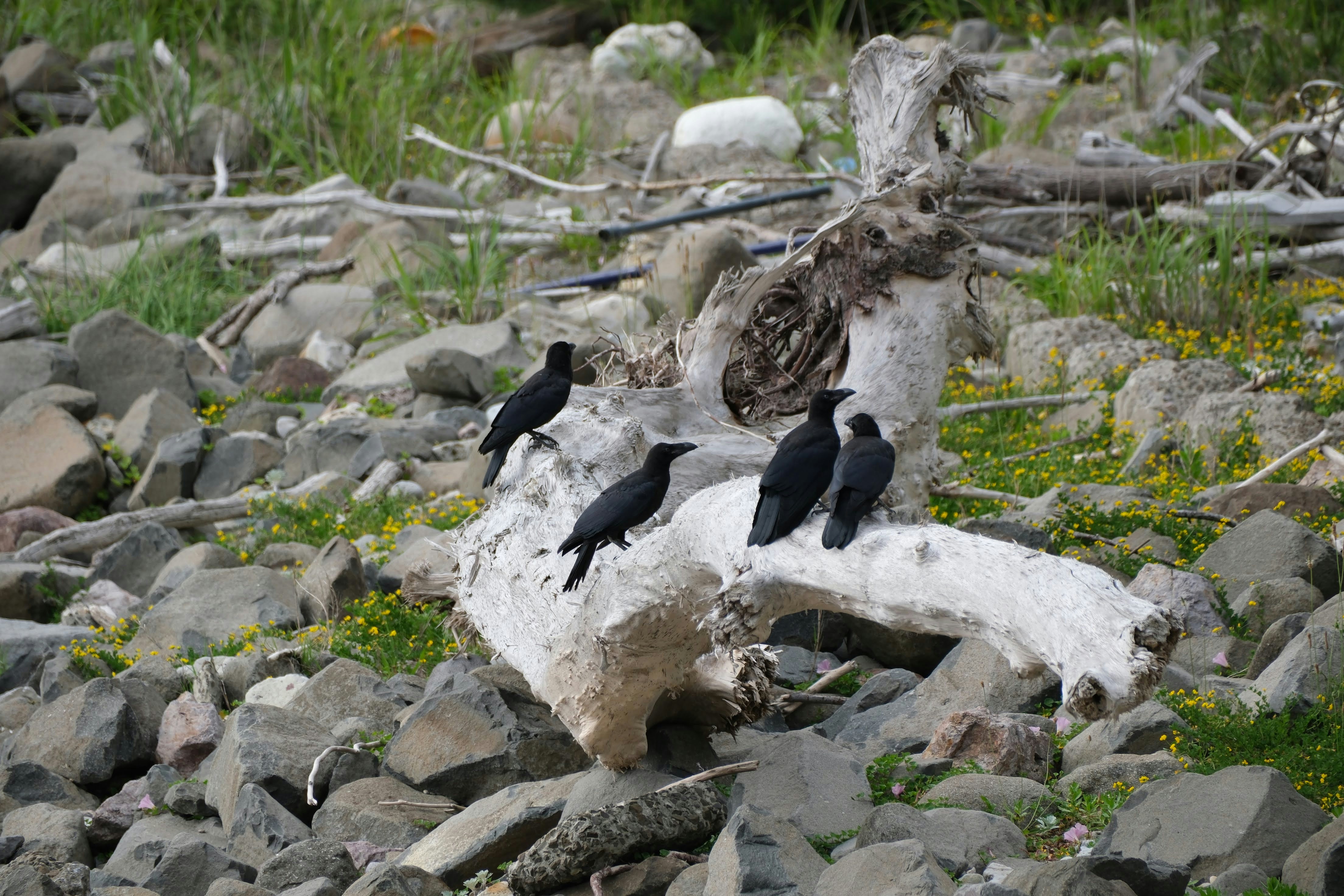 Photo by seiya_maeda