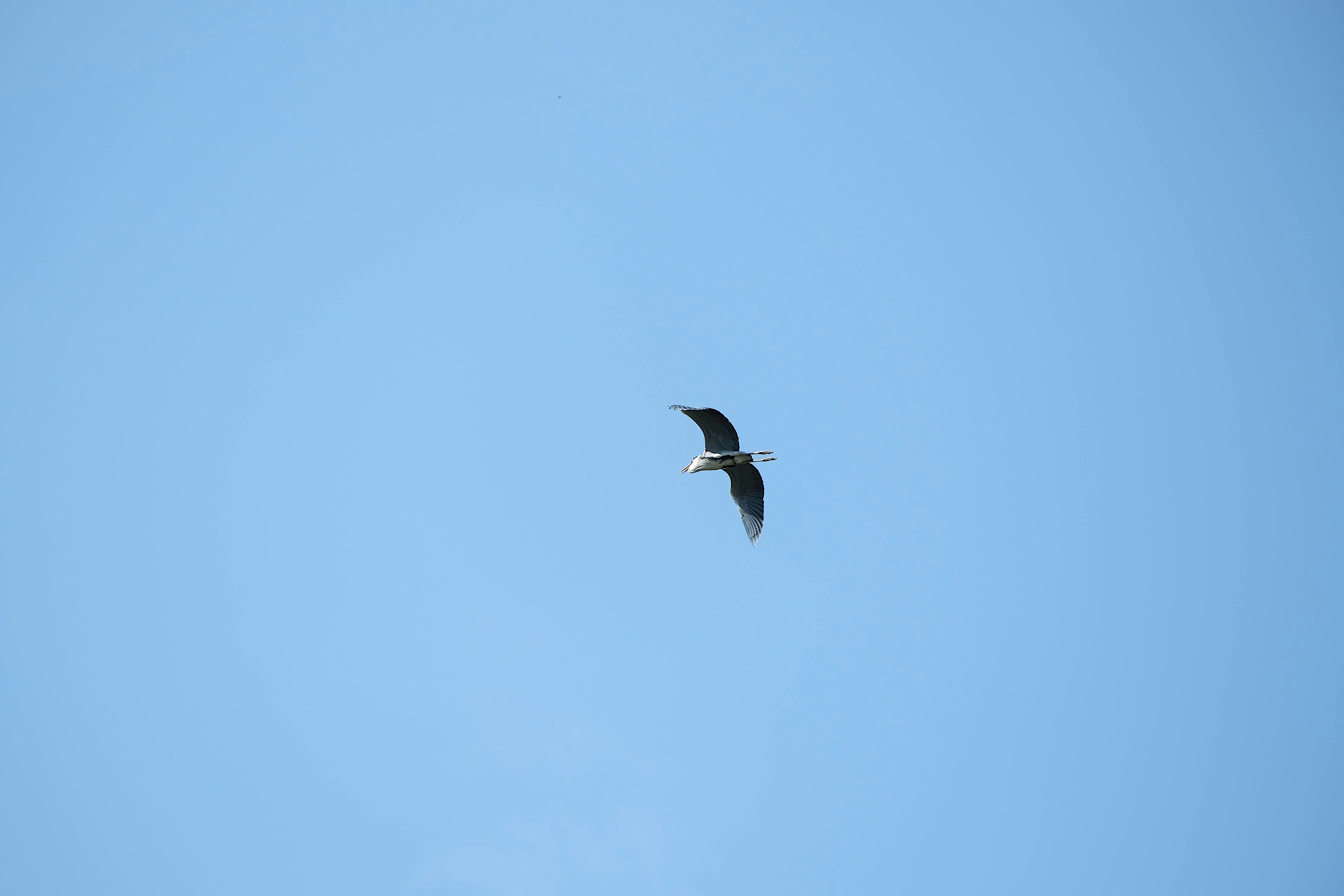 Photo by seiya_maeda