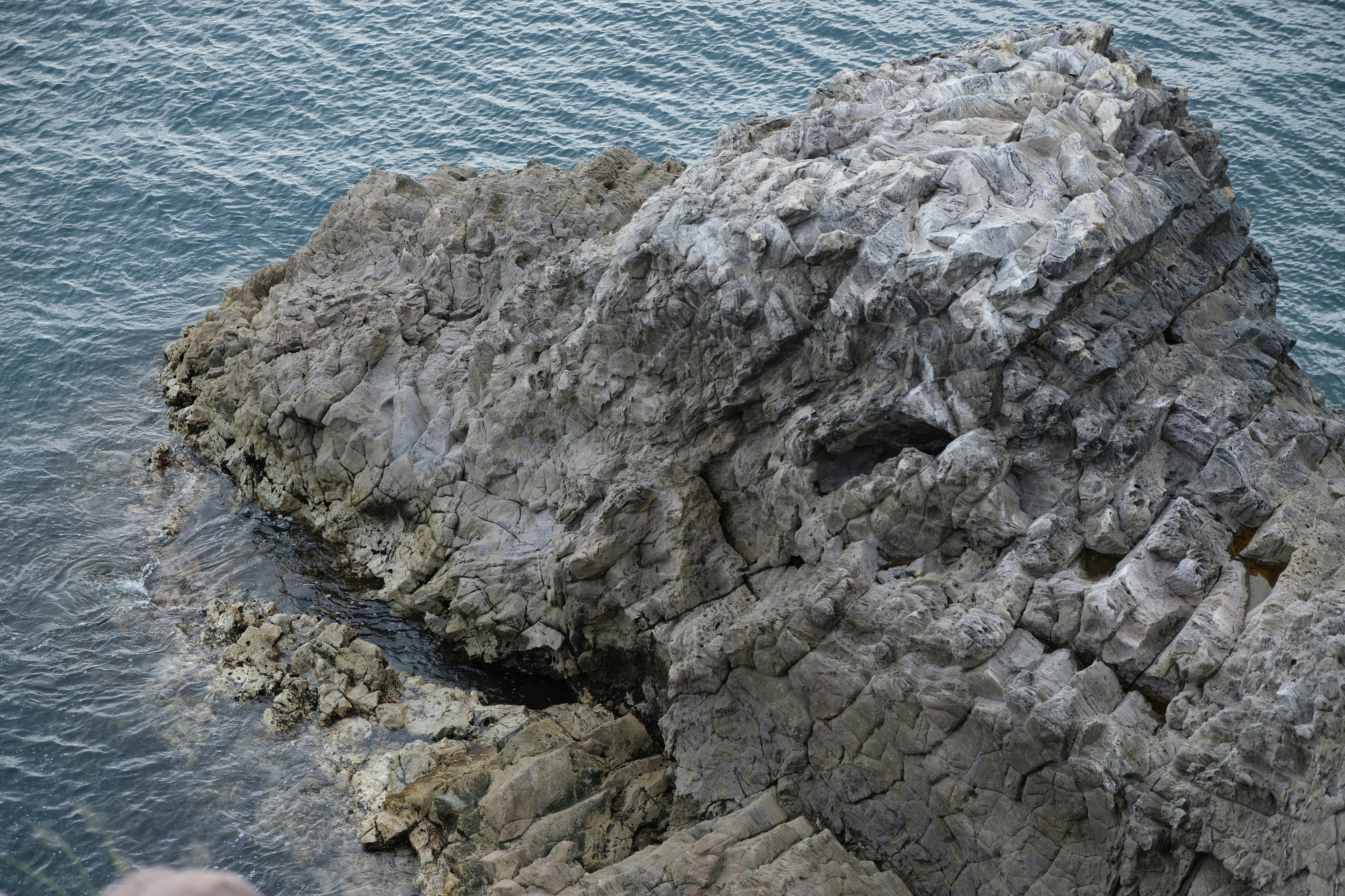 Photo by seiya_maeda