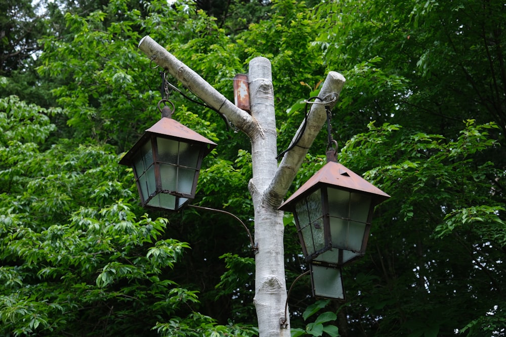 a couple of lights that are on a tree