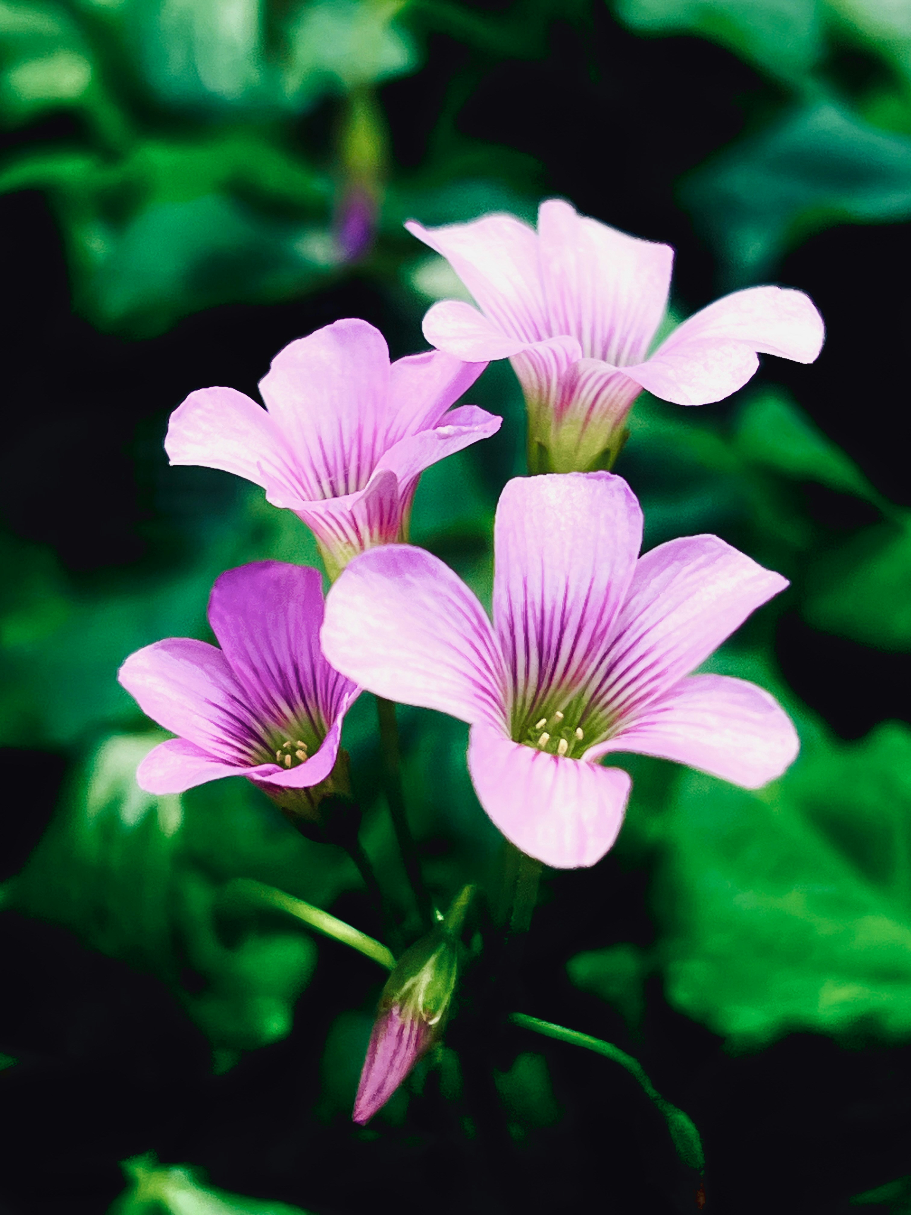 Photo by thanhliem178