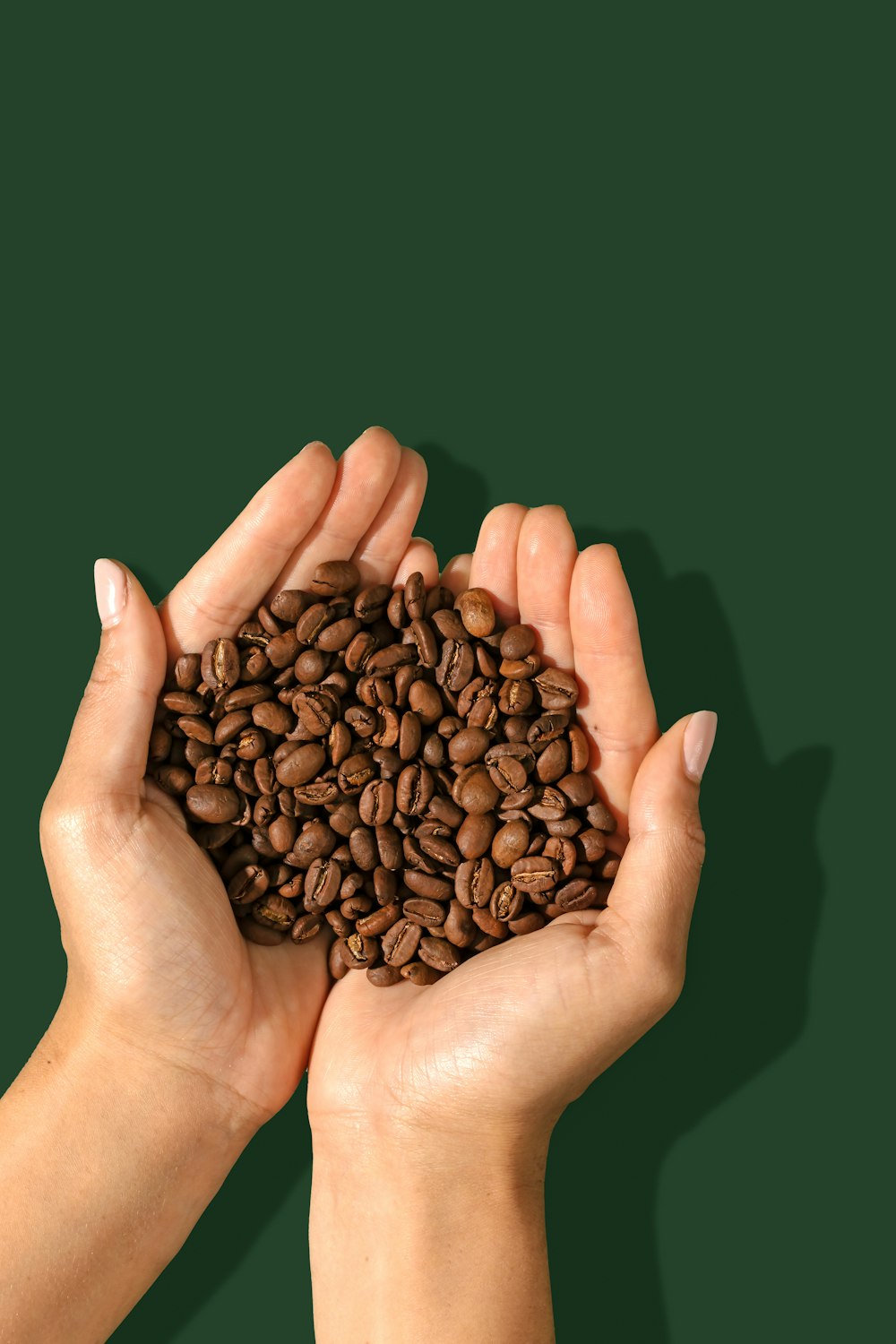 two hands holding a pile of coffee beans