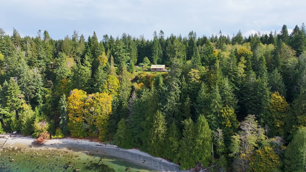 a house in the middle of a forest