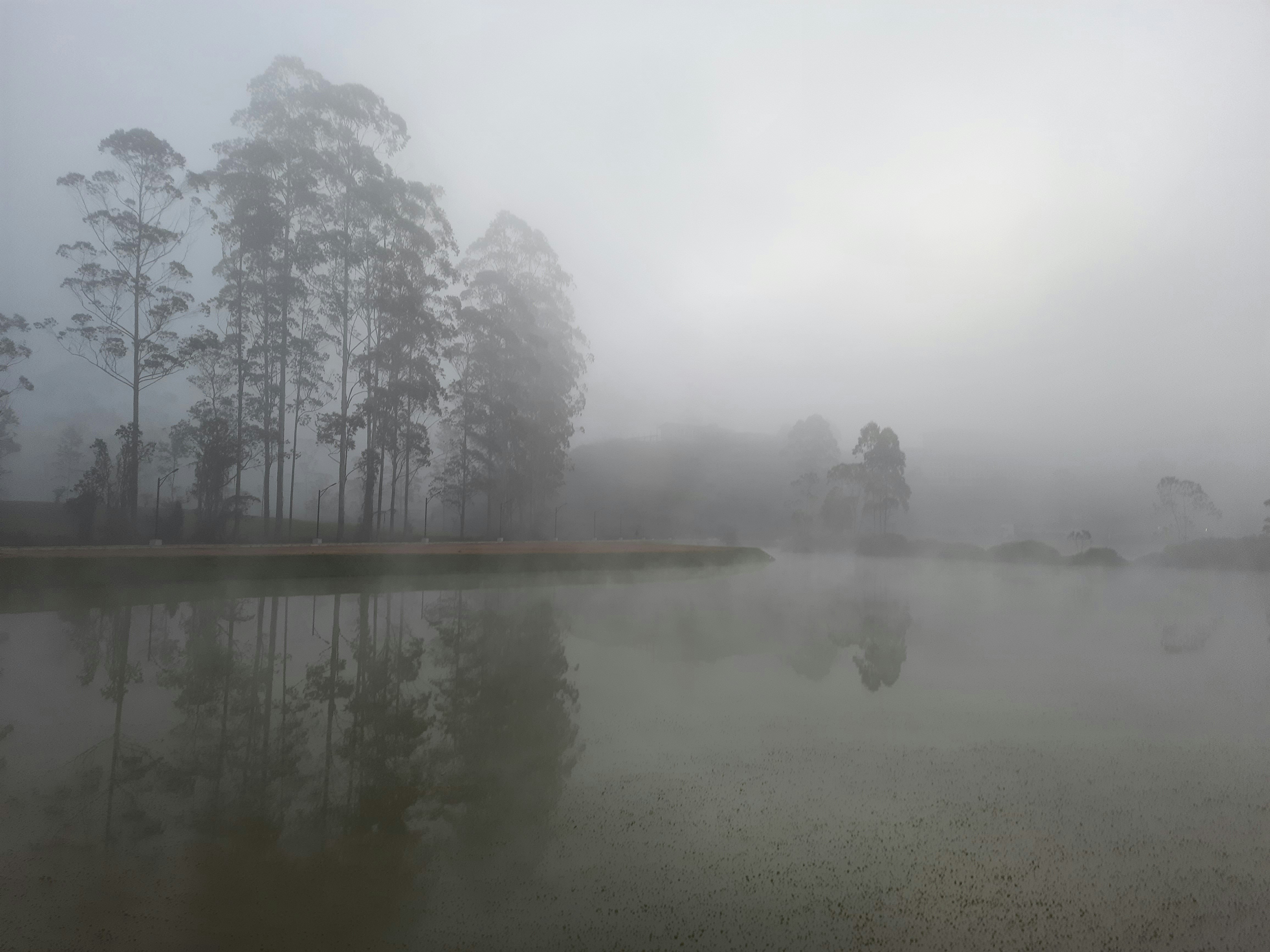 Photo by dilani_wicky