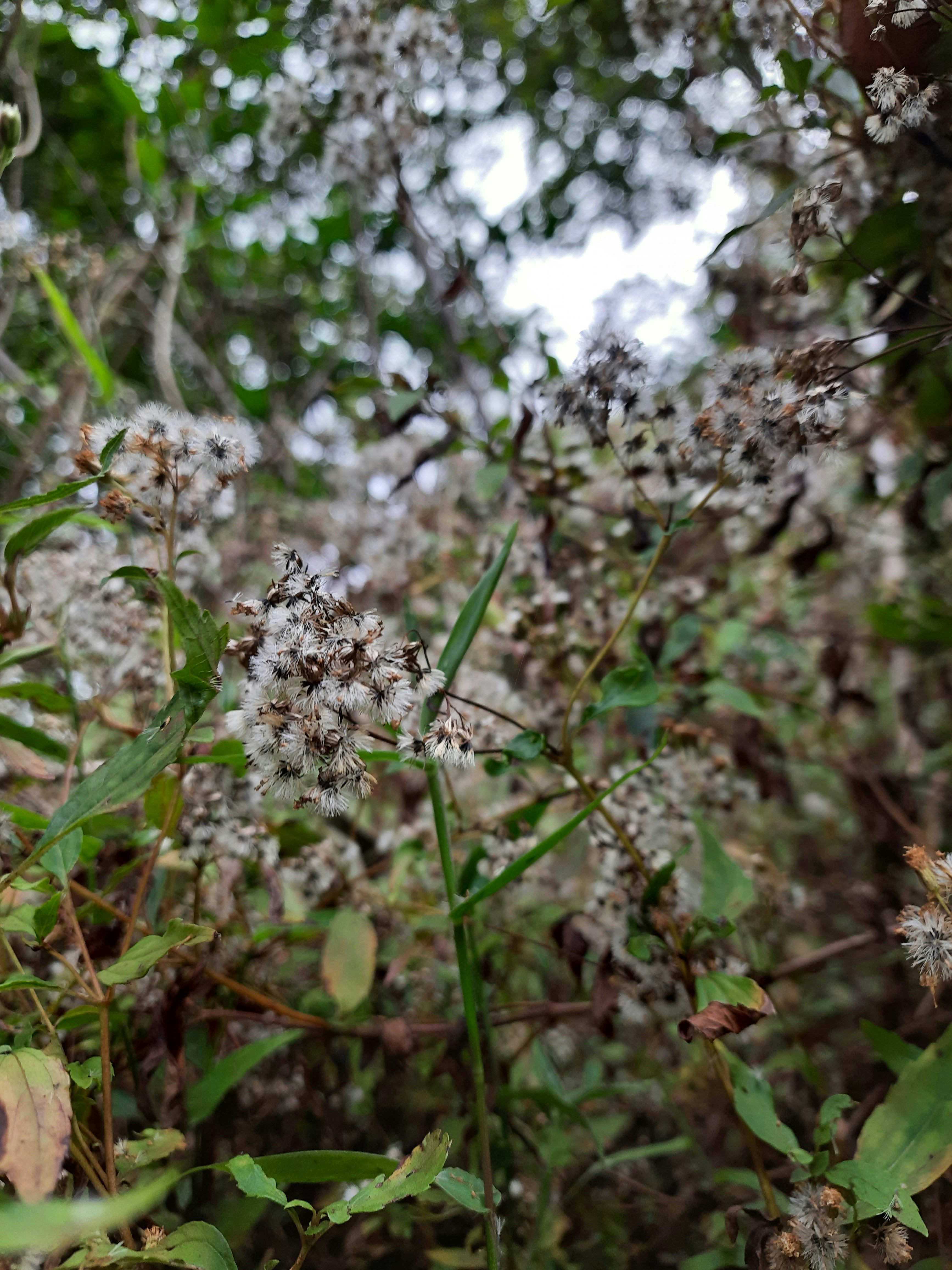 Photo by dilani_wicky