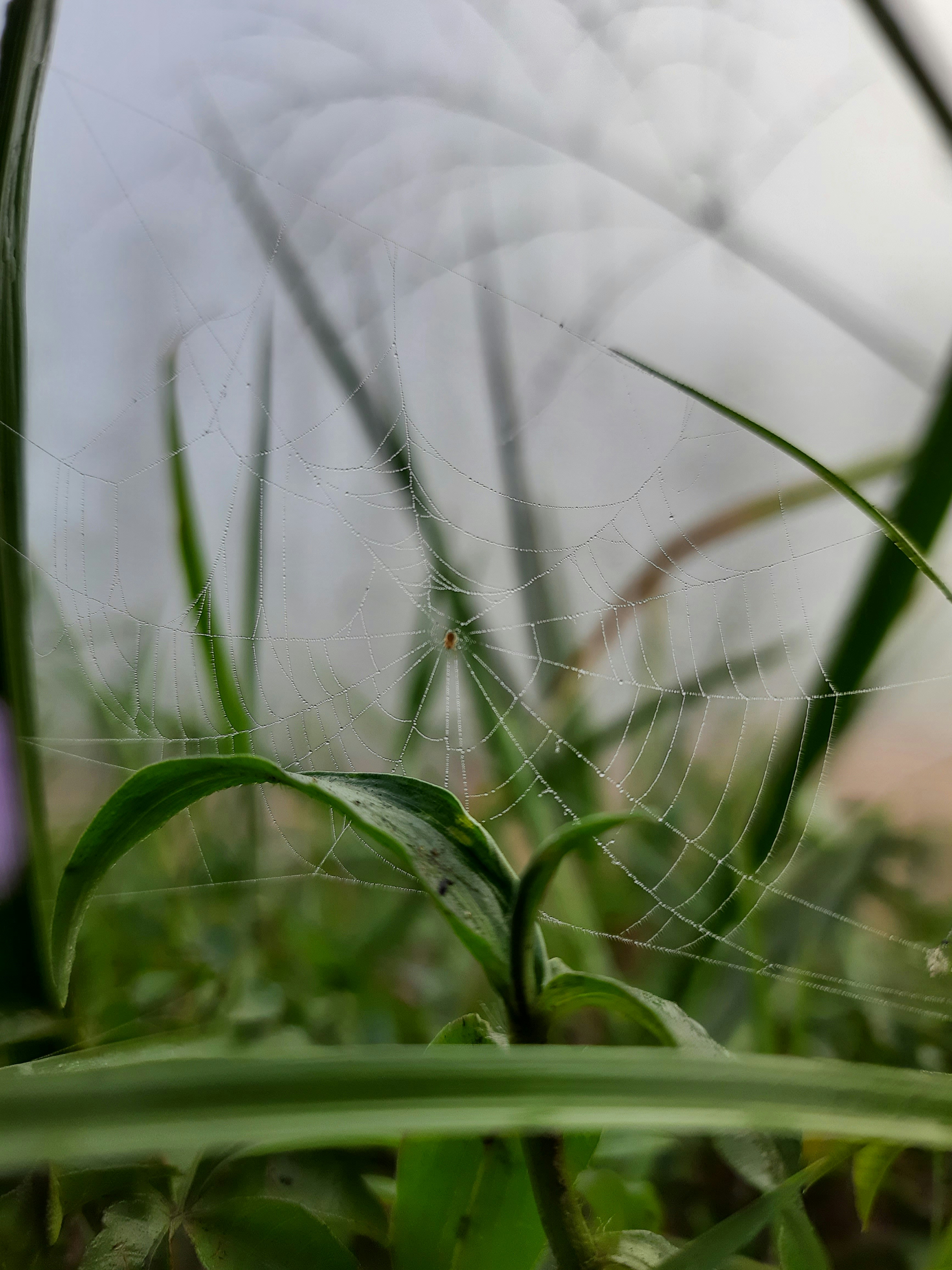 Photo by dilani_wicky