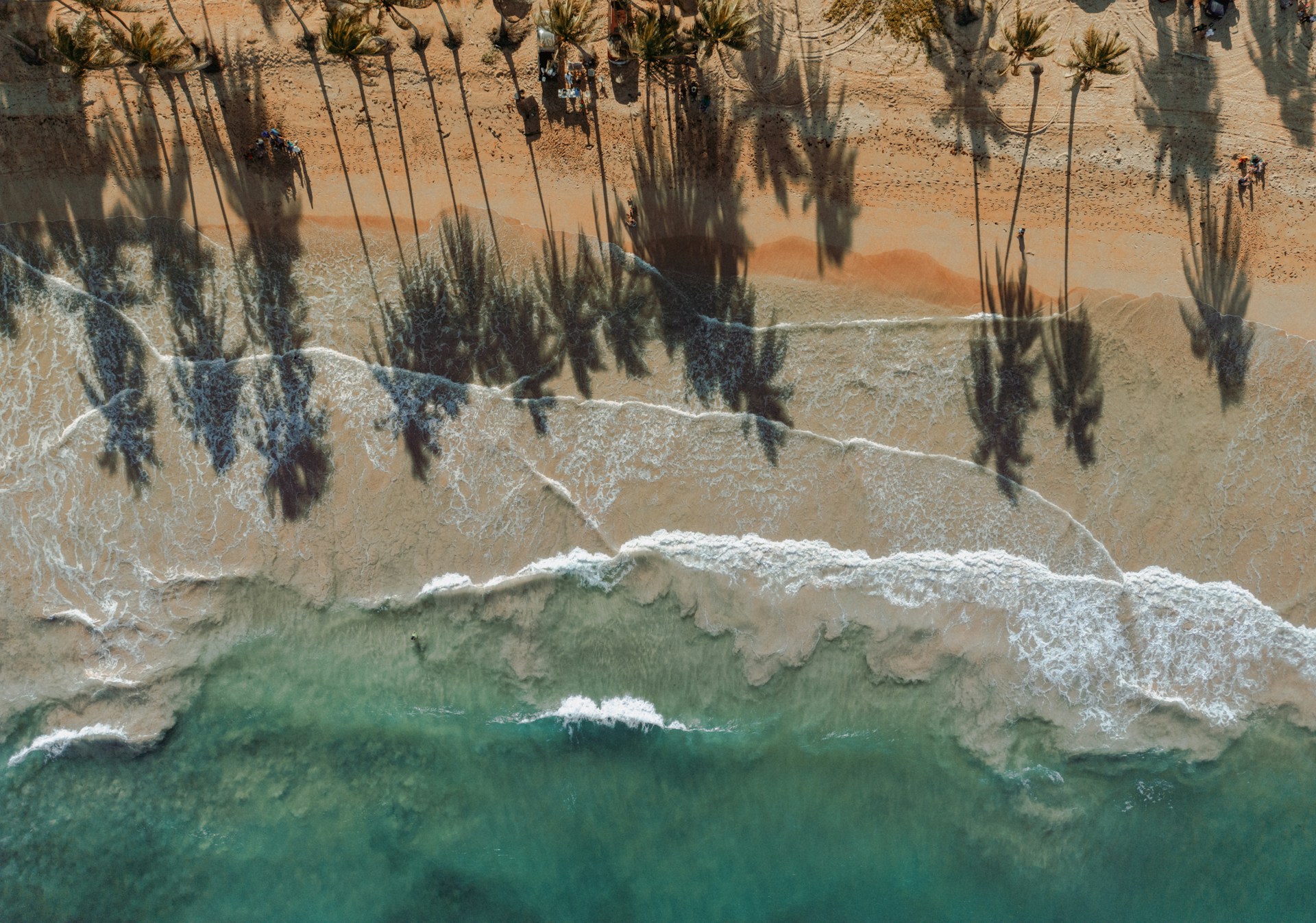 an aerial view of a beach with palm trees