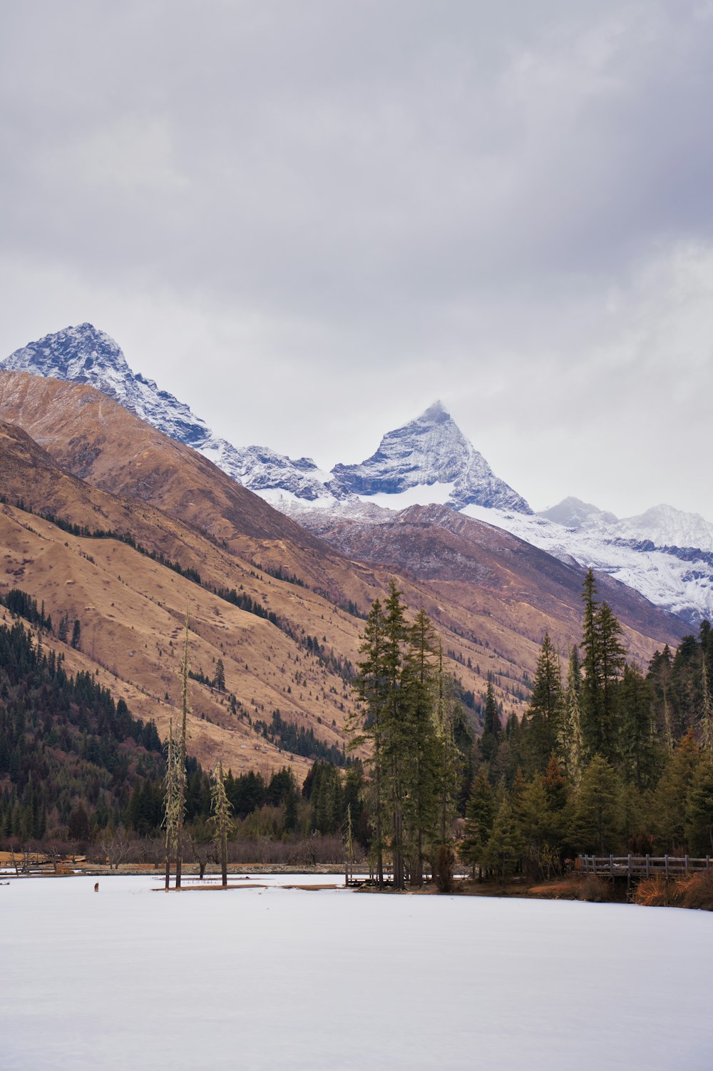 a snowy field with trees and mountains in the background