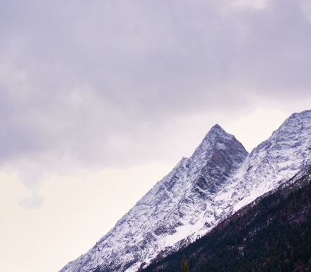 a snow covered mountain with trees in the foreground