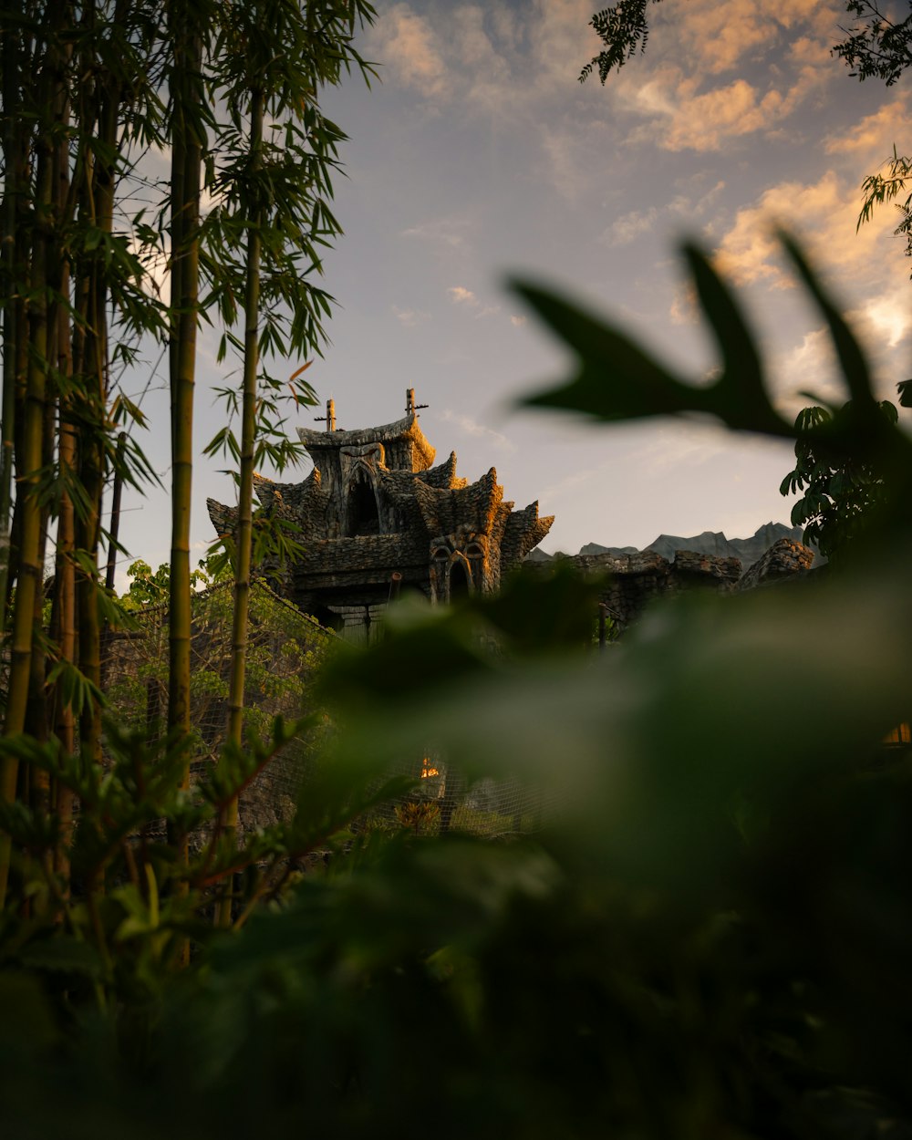 ein Haus mitten in einem Bambuswald