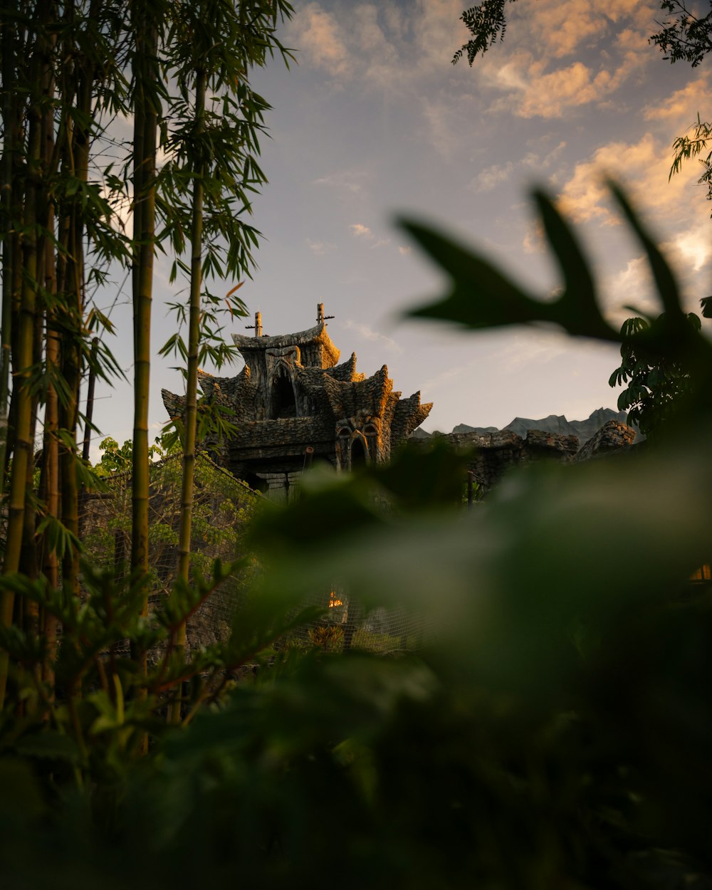 a house in the middle of a bamboo forest