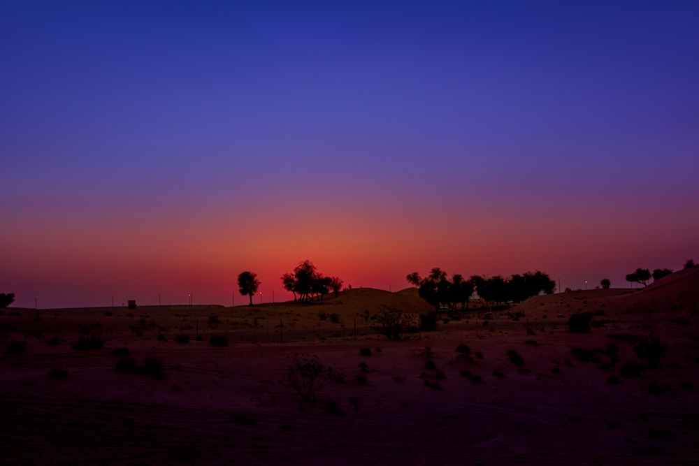 a sunset in the desert with trees in the foreground