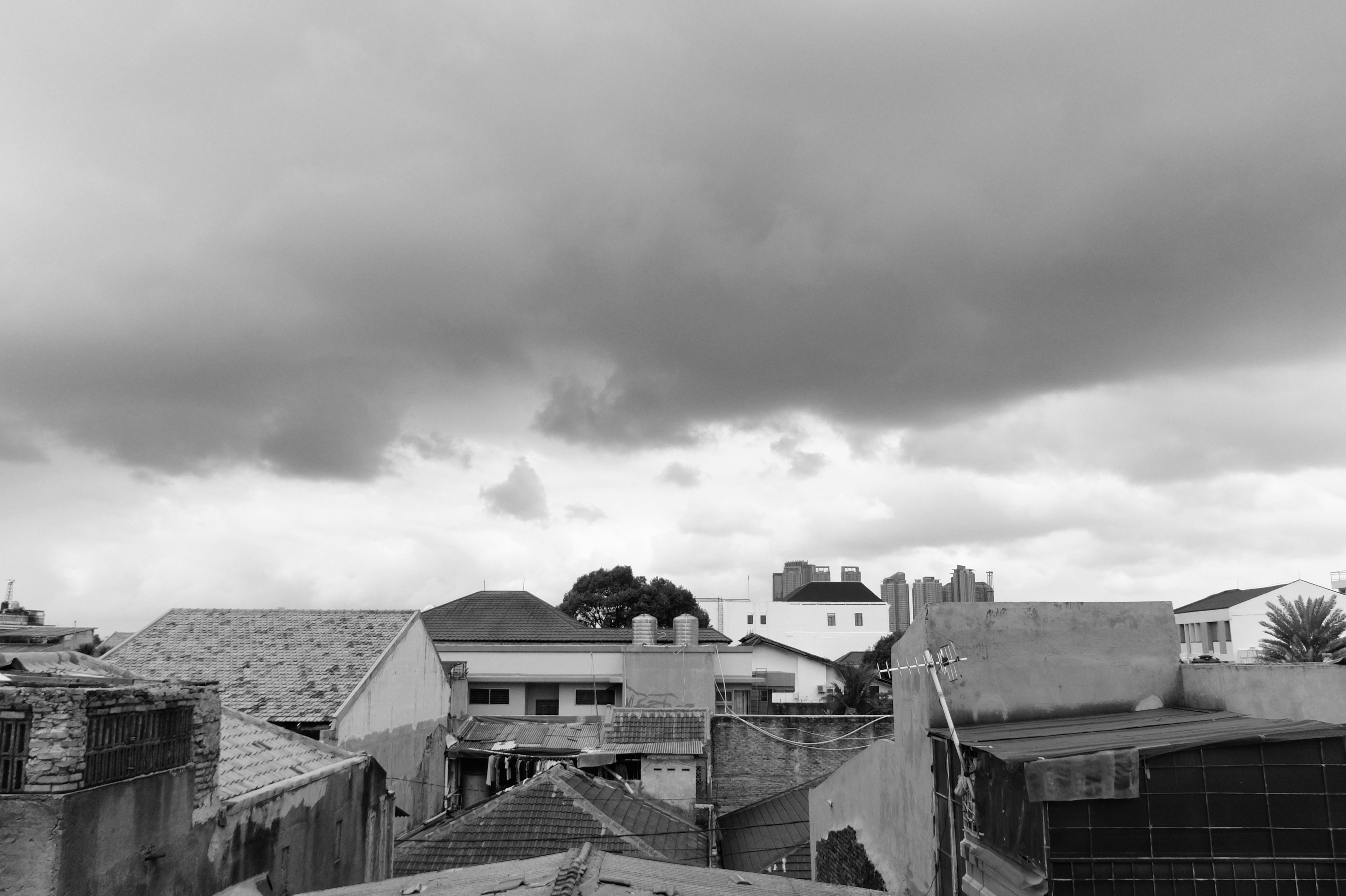 Photo by davidkristianto