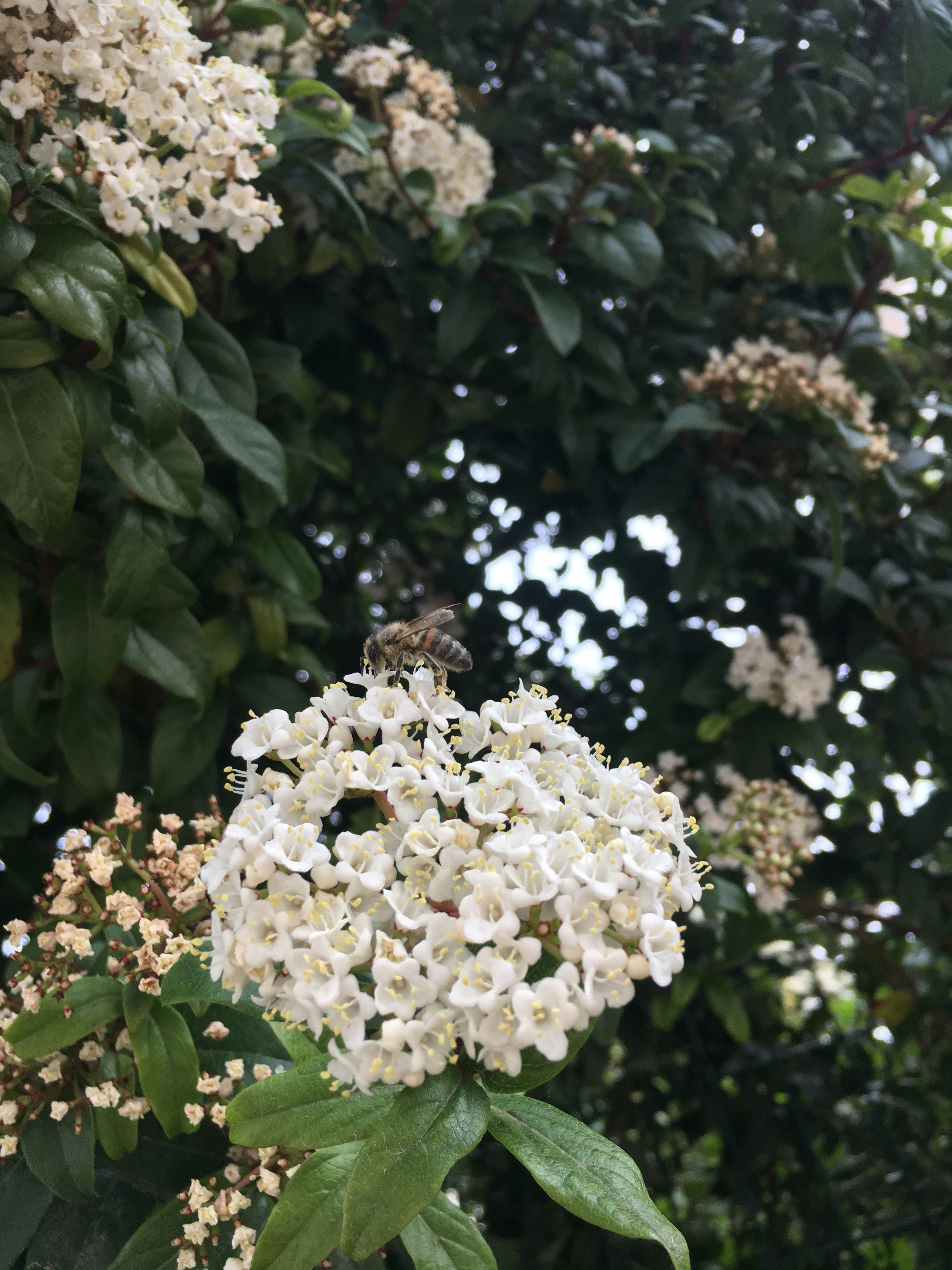 Photo by serifebetulbilge