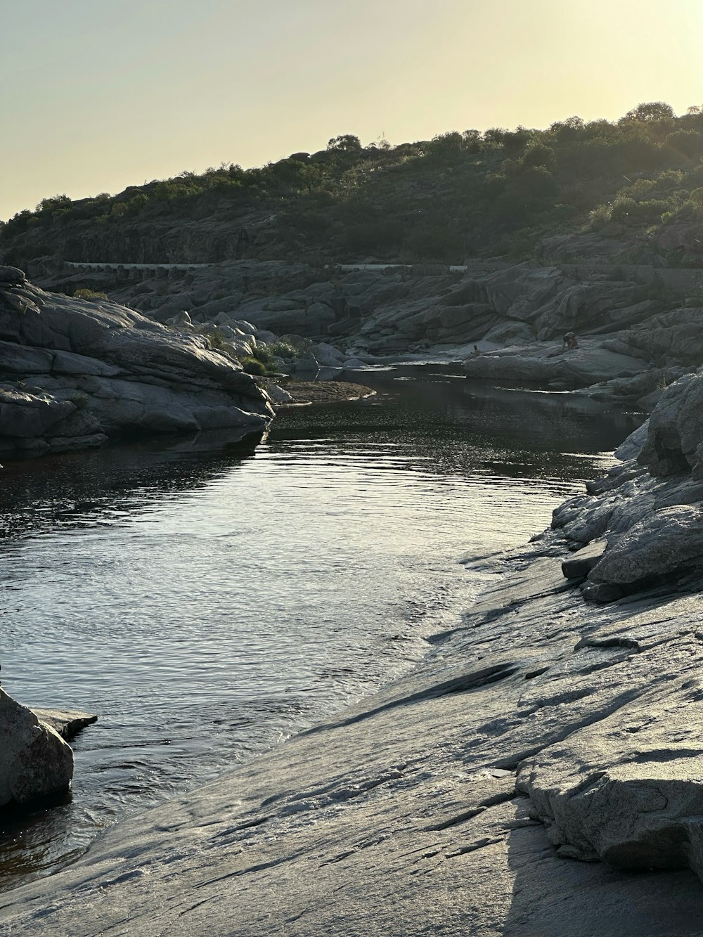 a bird is sitting on the edge of a body of water