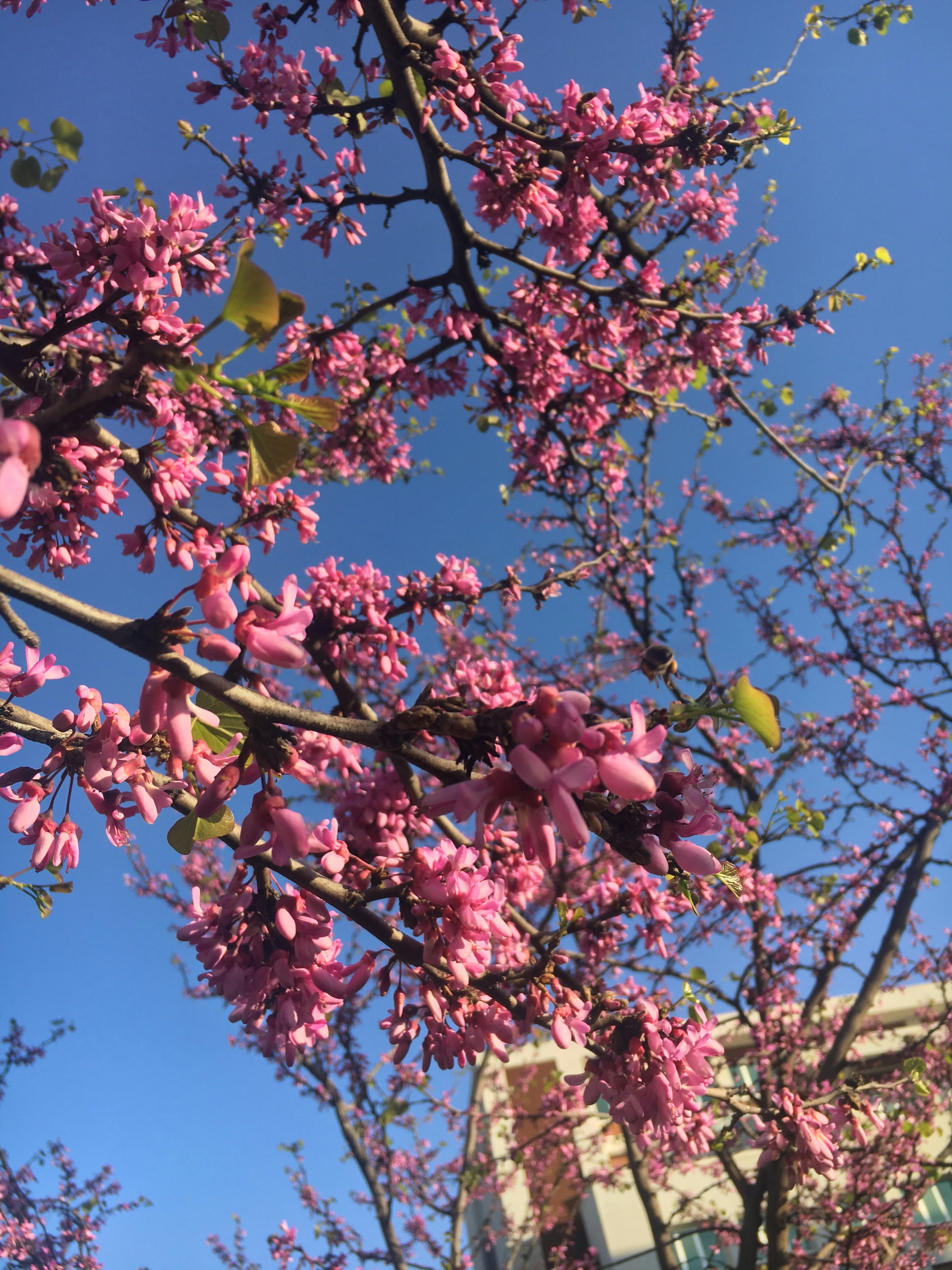 Photo by serifebetulbilge