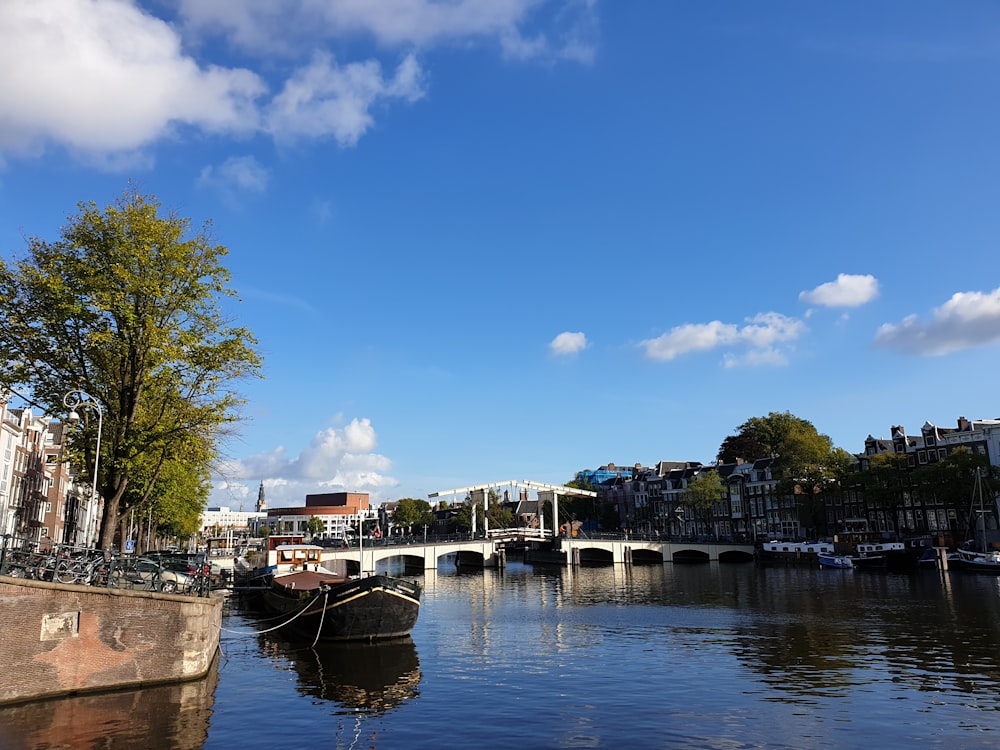 a river with a bridge in the background