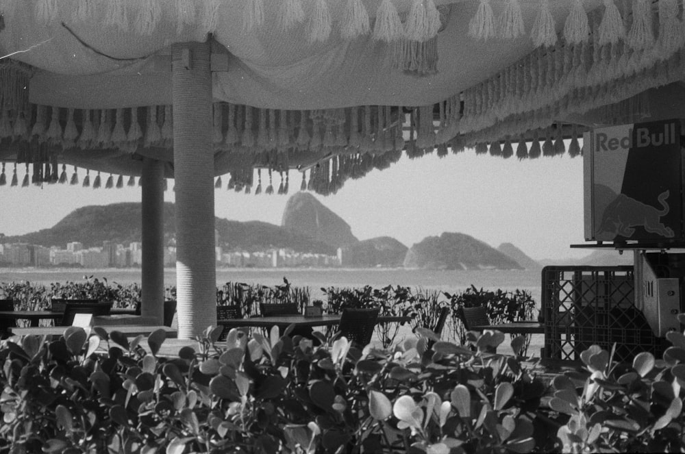 a large group of motorcycles parked under a tent