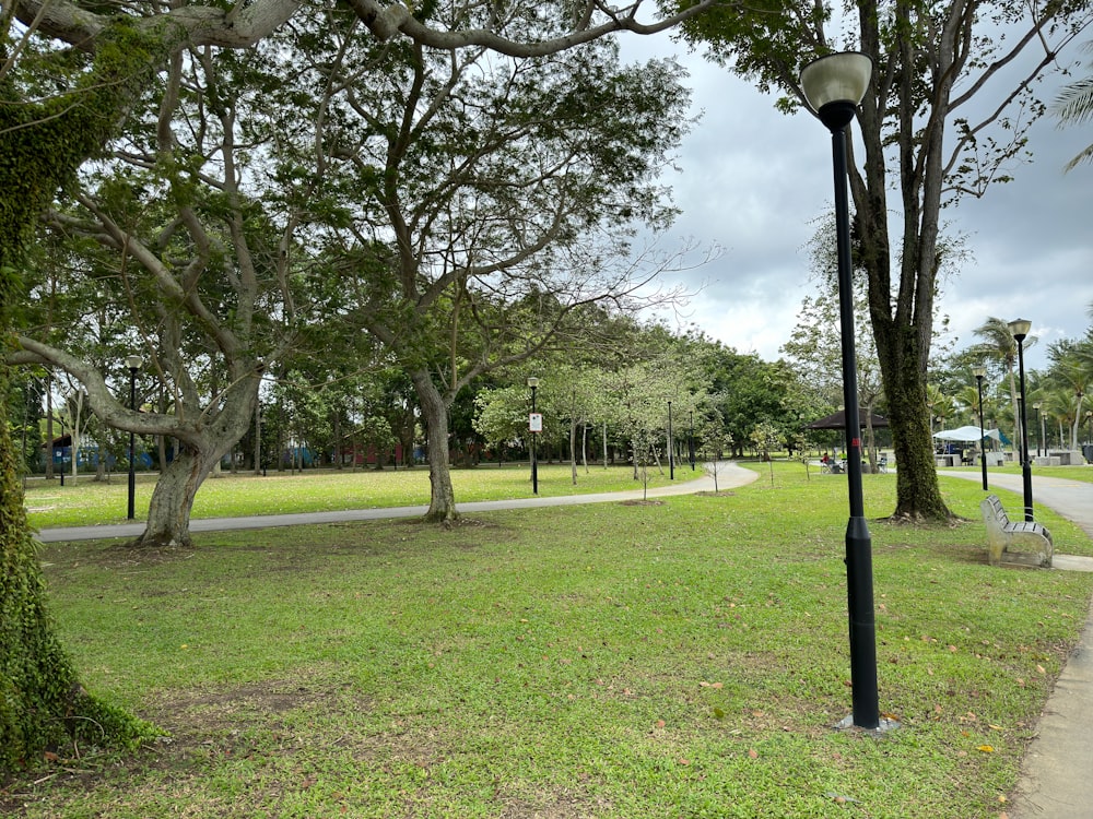 a street light sitting in the middle of a lush green park
