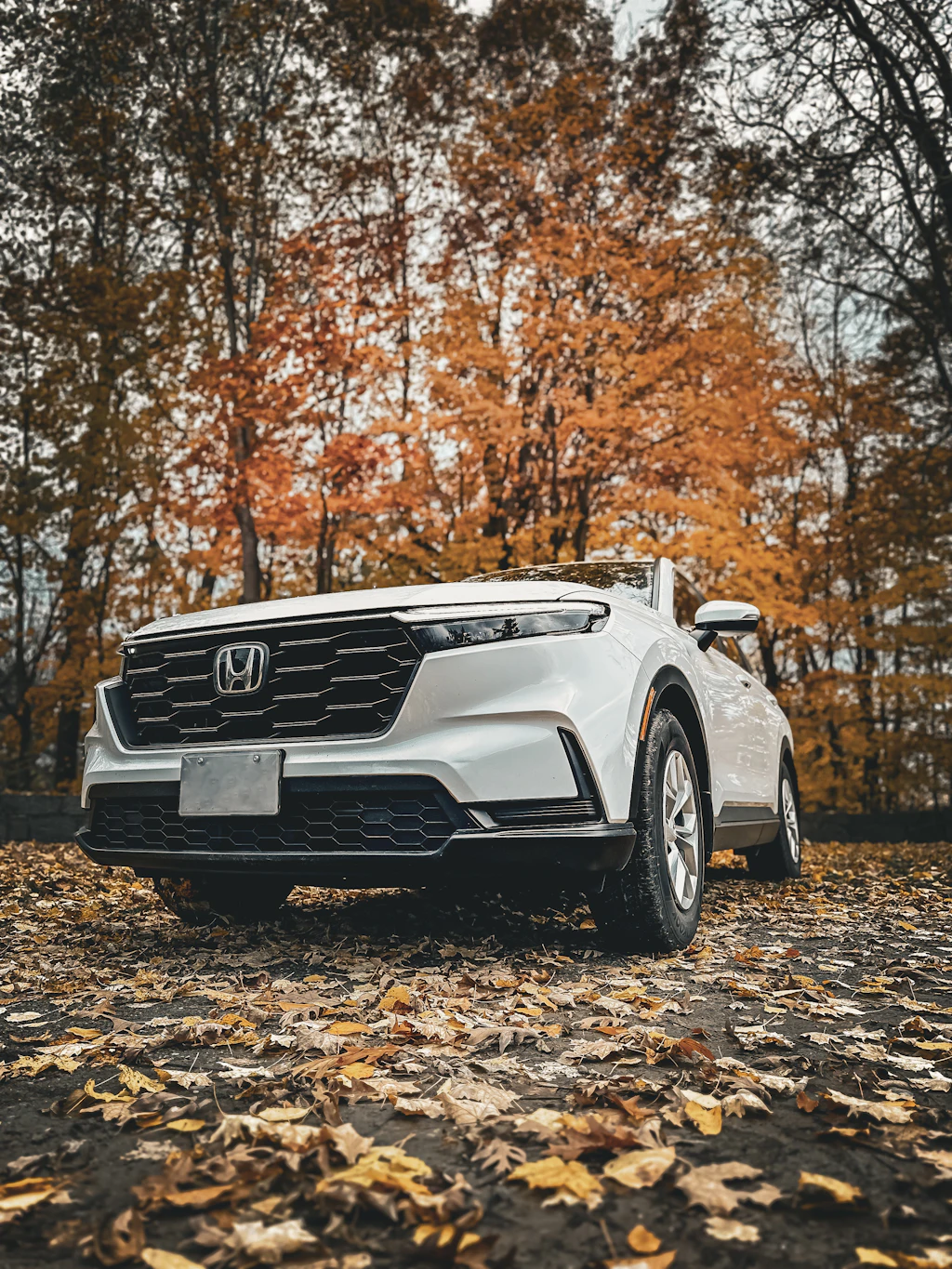 a white car parked in front of some trees