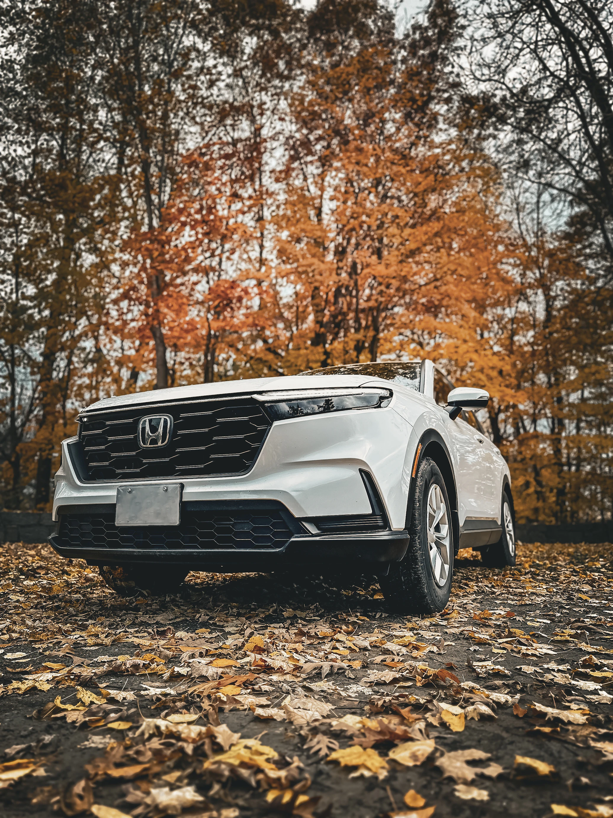 2026 Honda Passport & TrailSport Review: V6 Power & Lease Deals