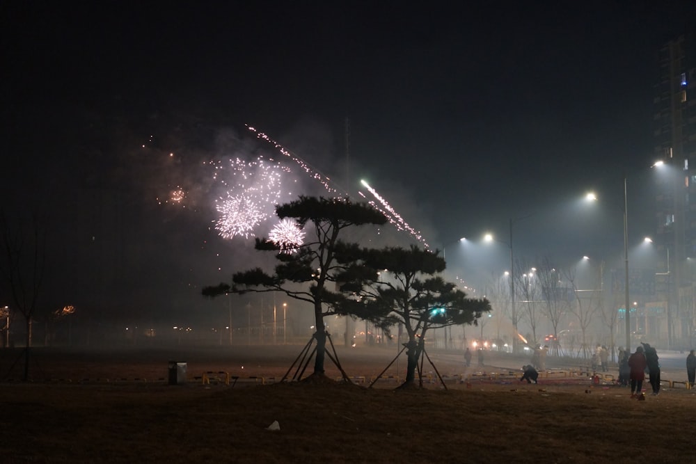 fogos de artifício são iluminados no céu noturno